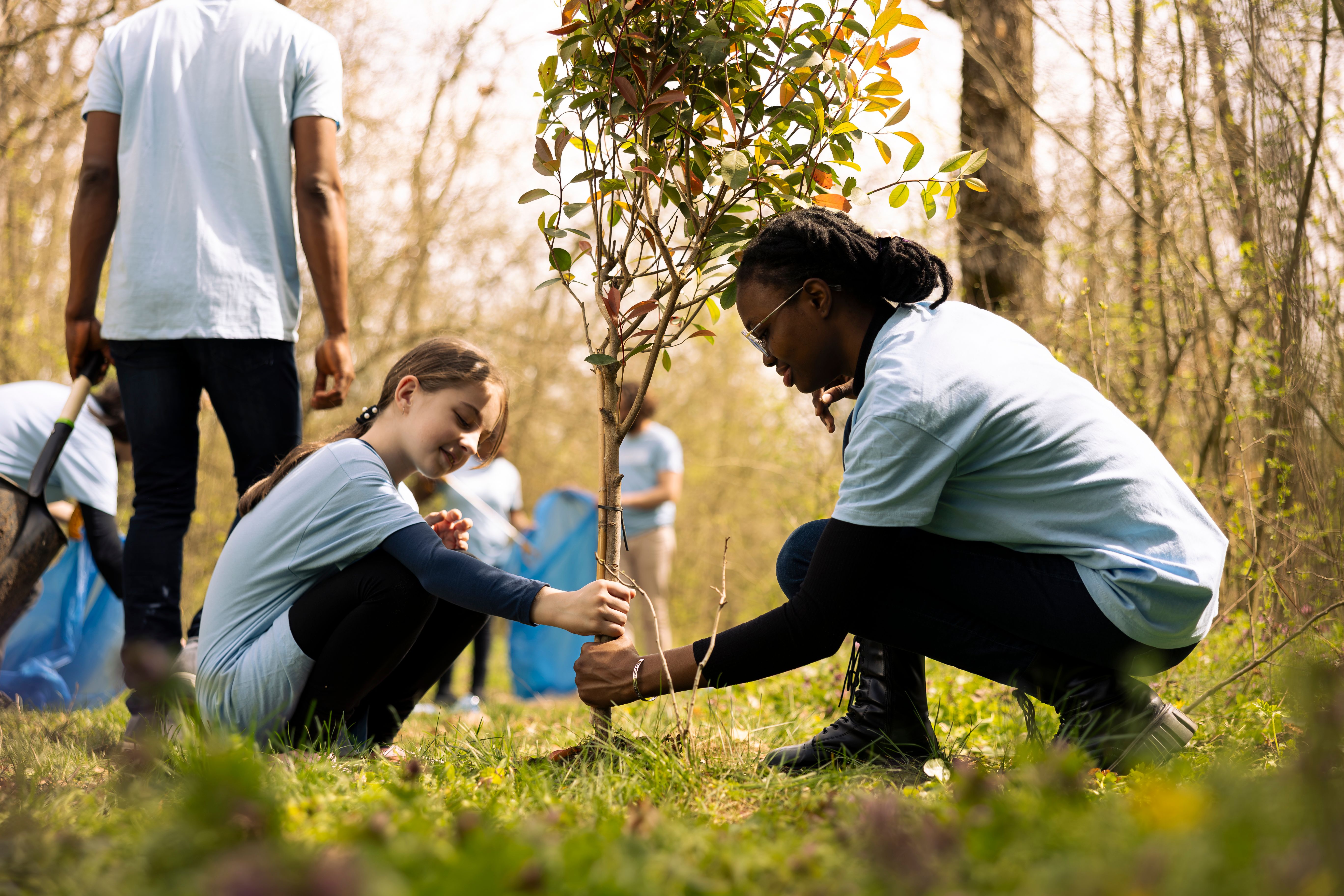 volunteer work