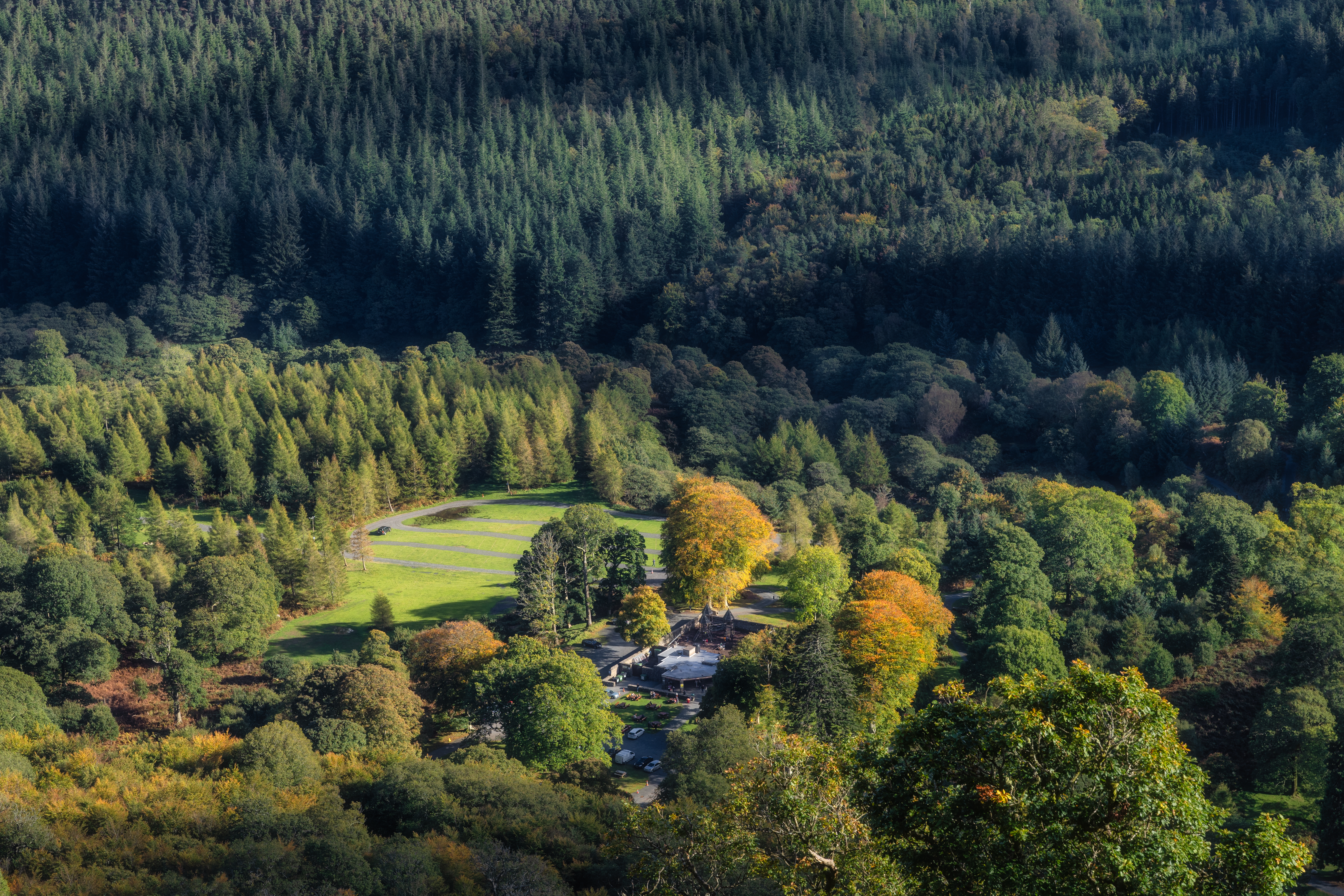 Childrens playground next to Powerscourt Waterfall, hidden in the forest. Wicklow, Ireland