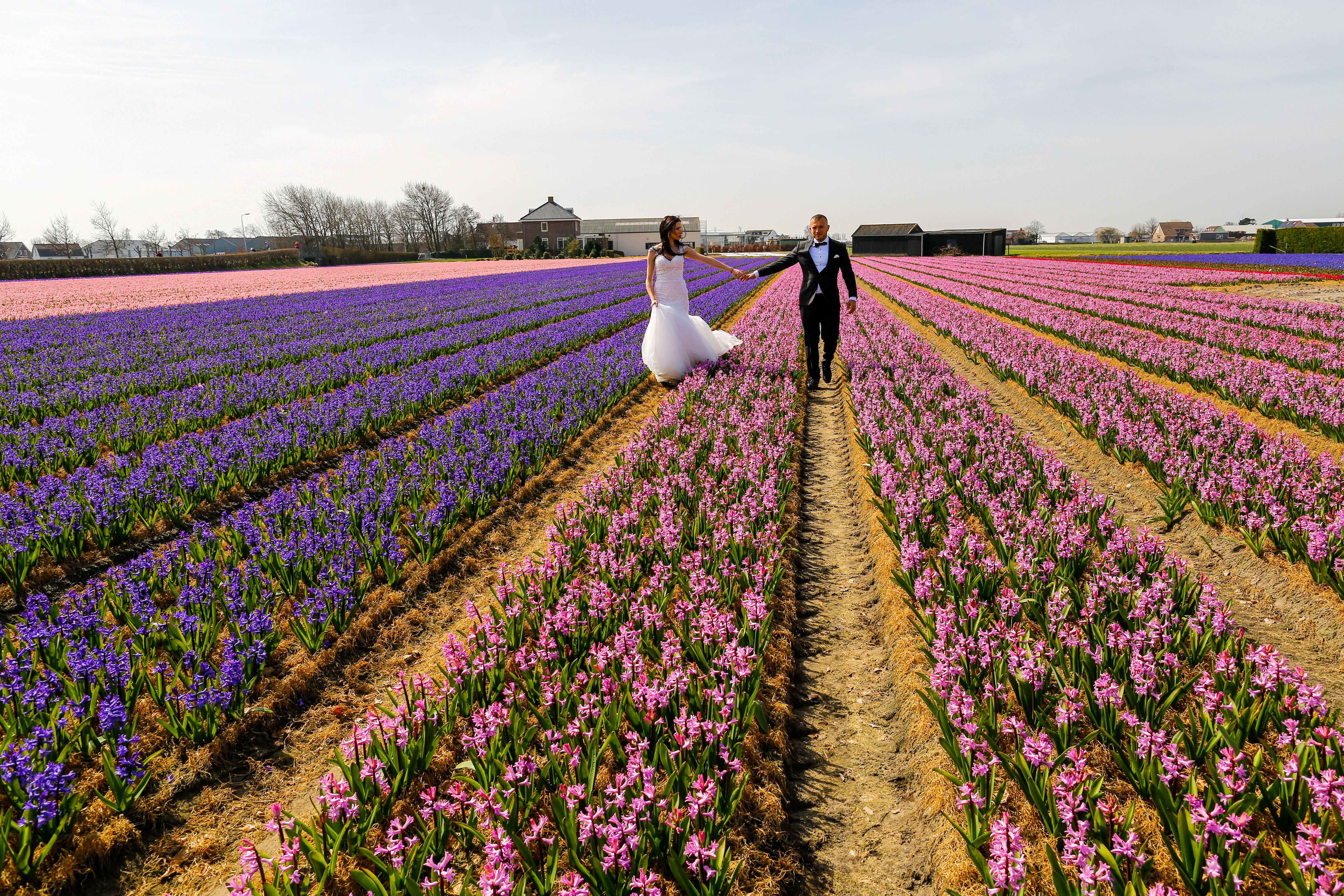 dutch landscape wedding