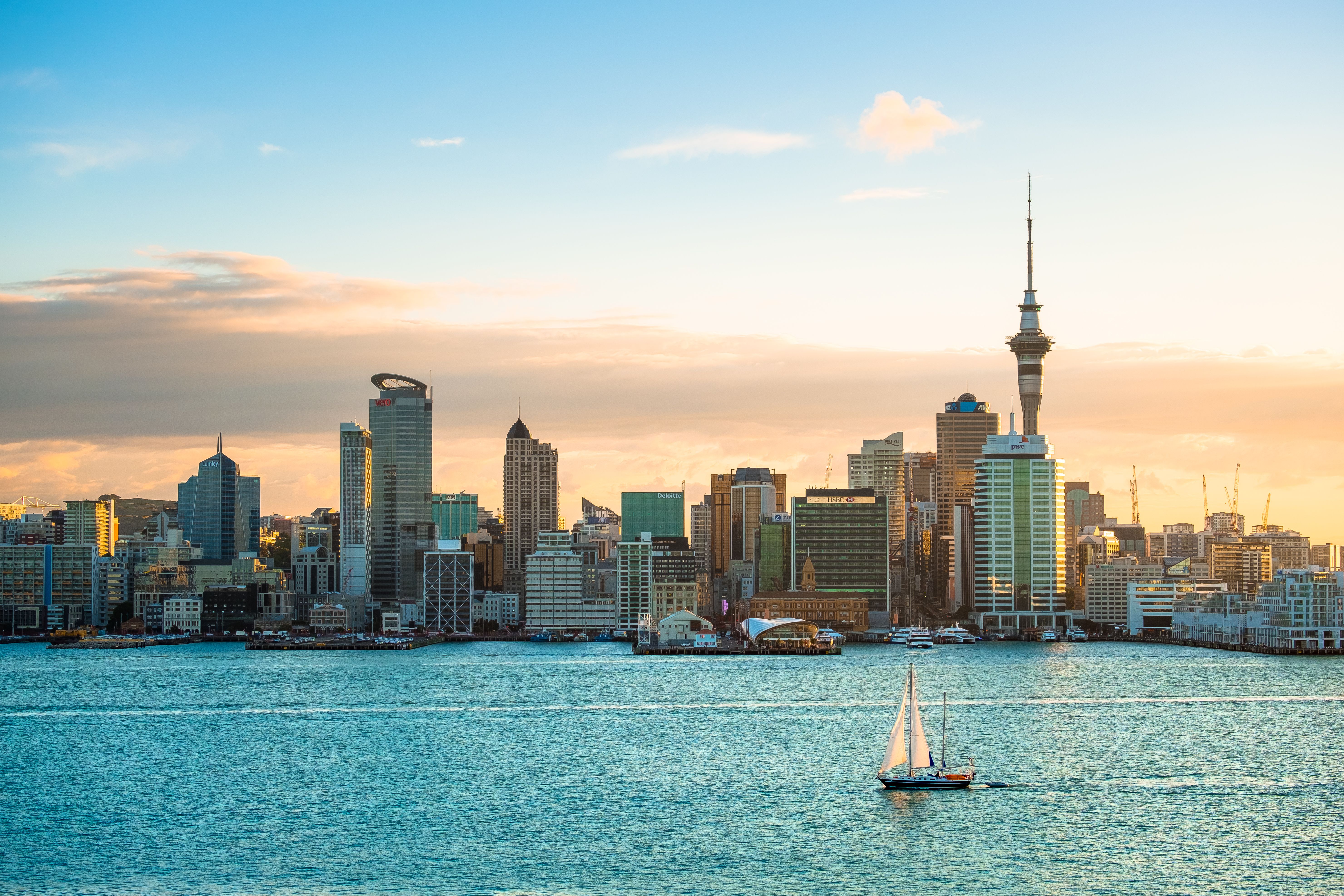 auckland skyline