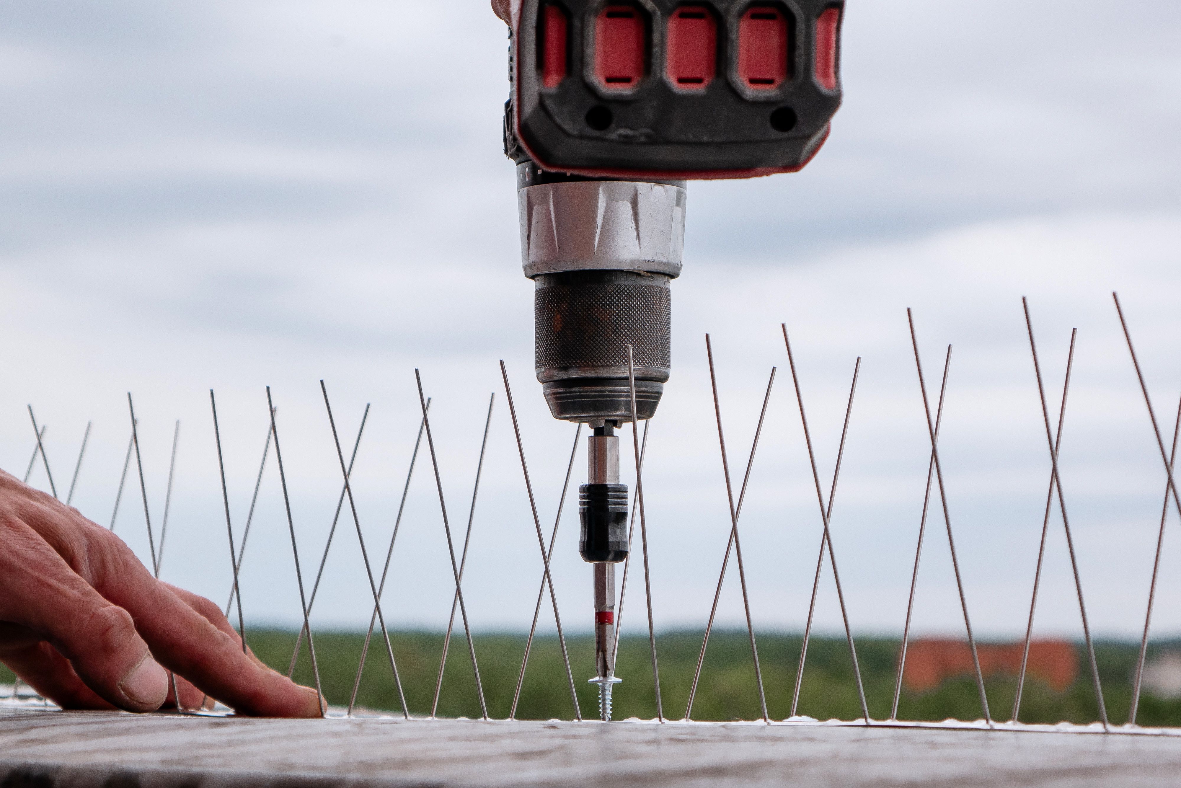 diy wildlife control