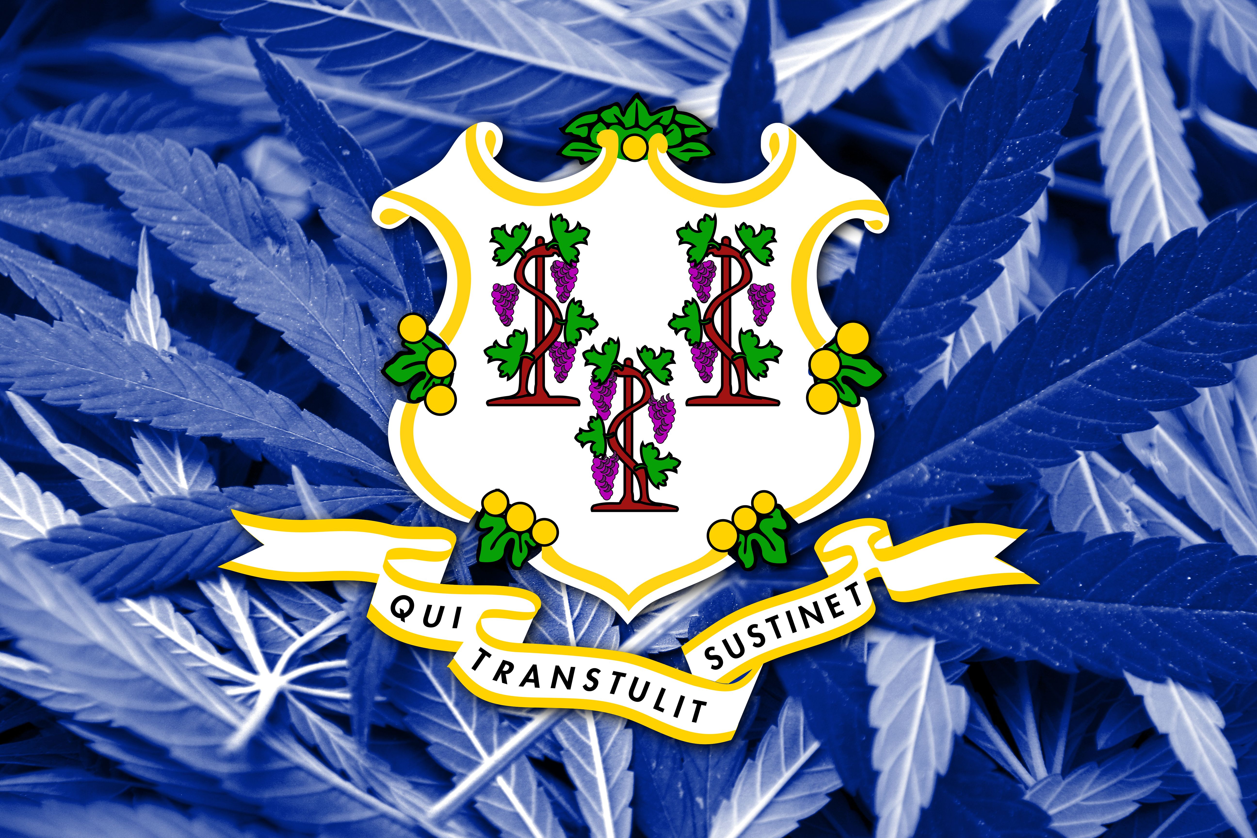 connecticut legal