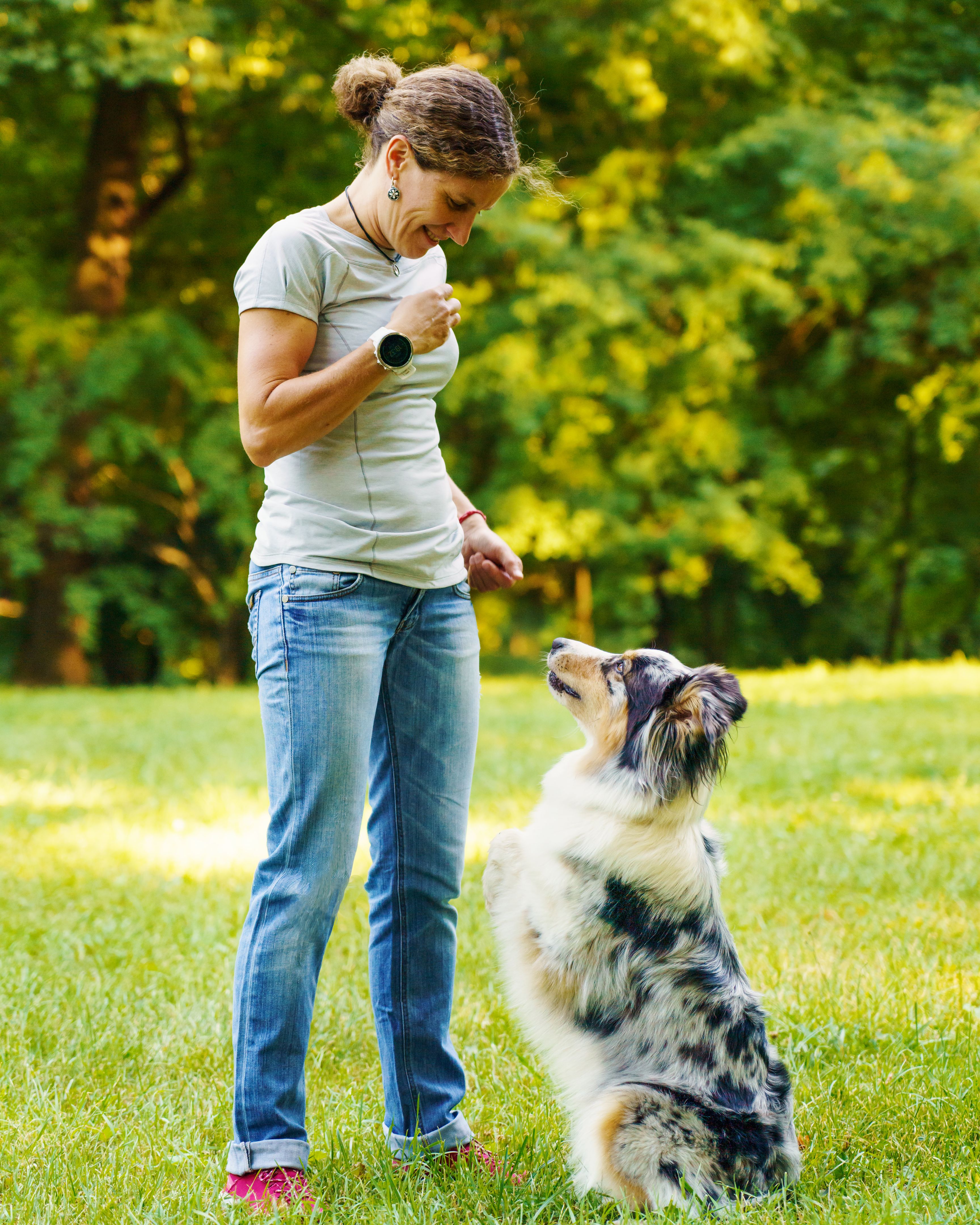 Who Is R Dog Effective Dog Training Services for Every Pet Owner