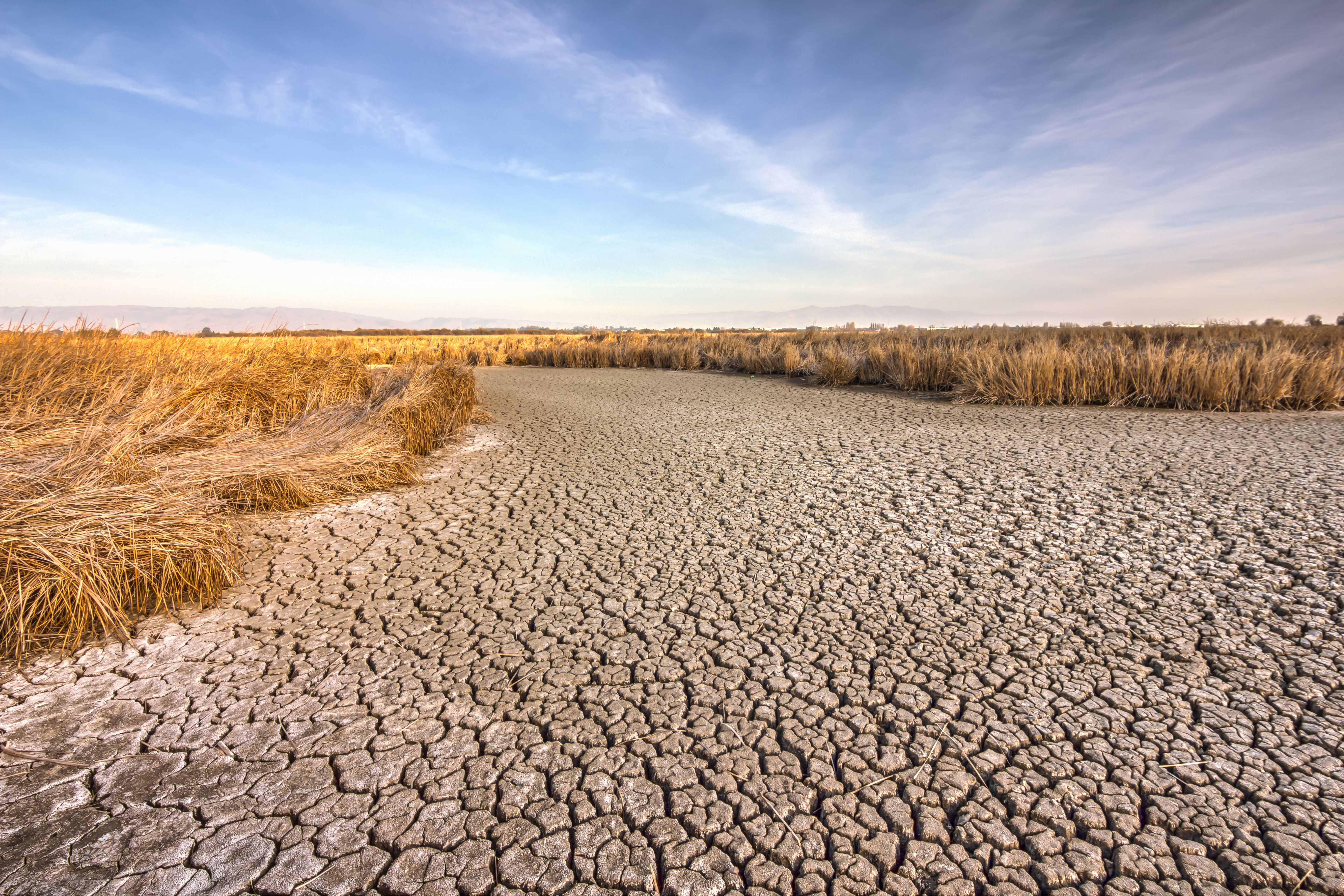 california drought