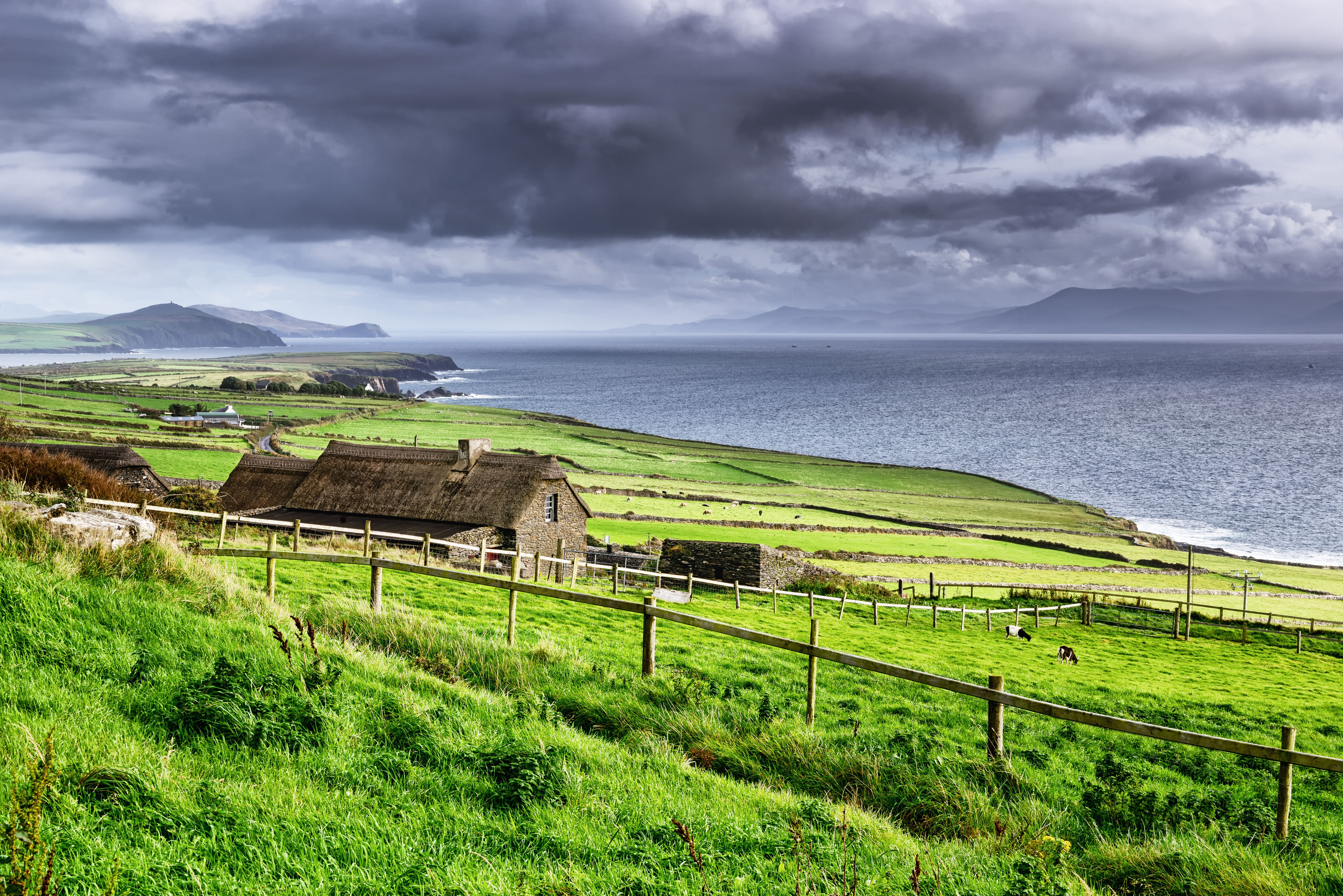 Rural coastal scene, Dingle Peninsula, Ireland