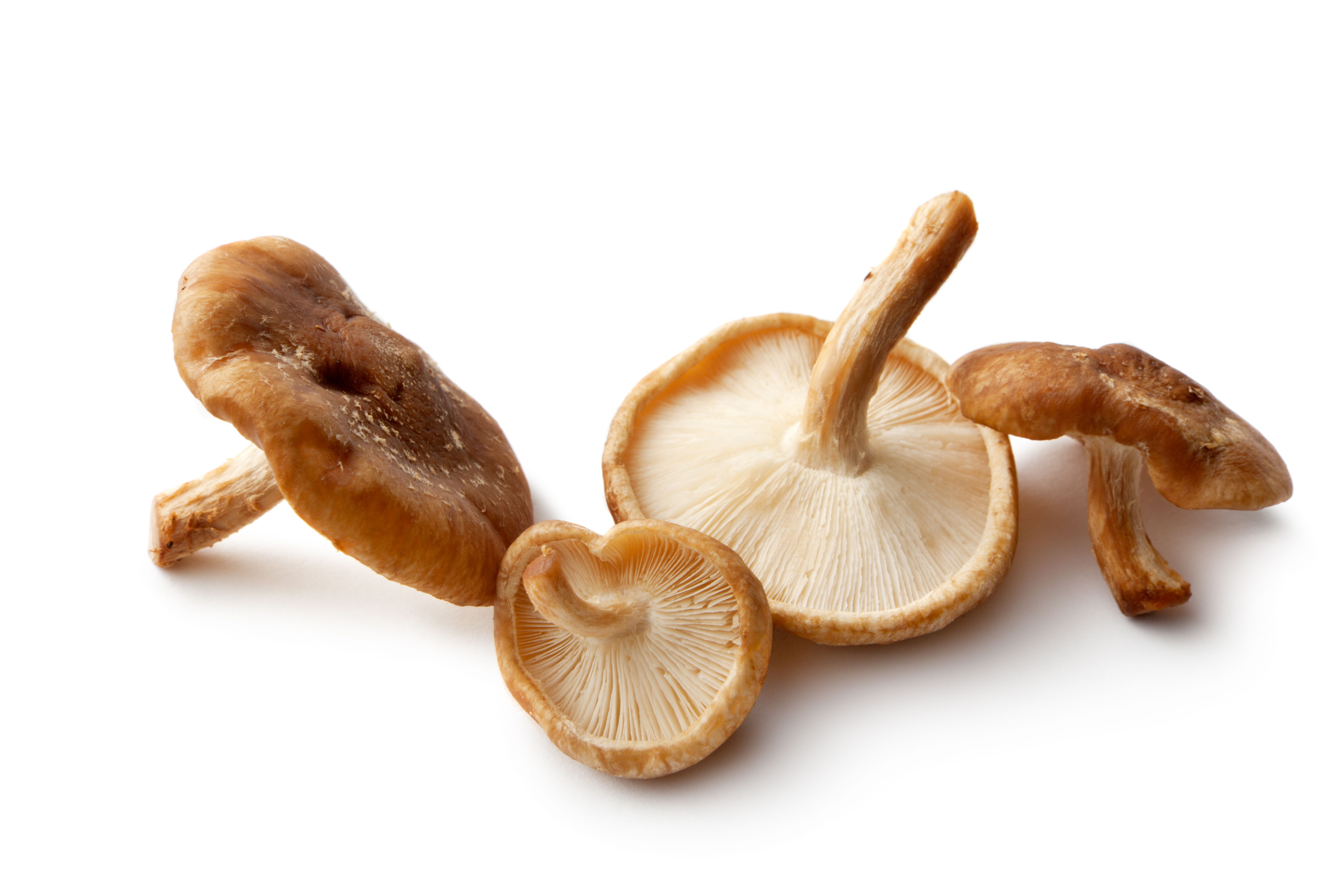 shiitake mushrooms