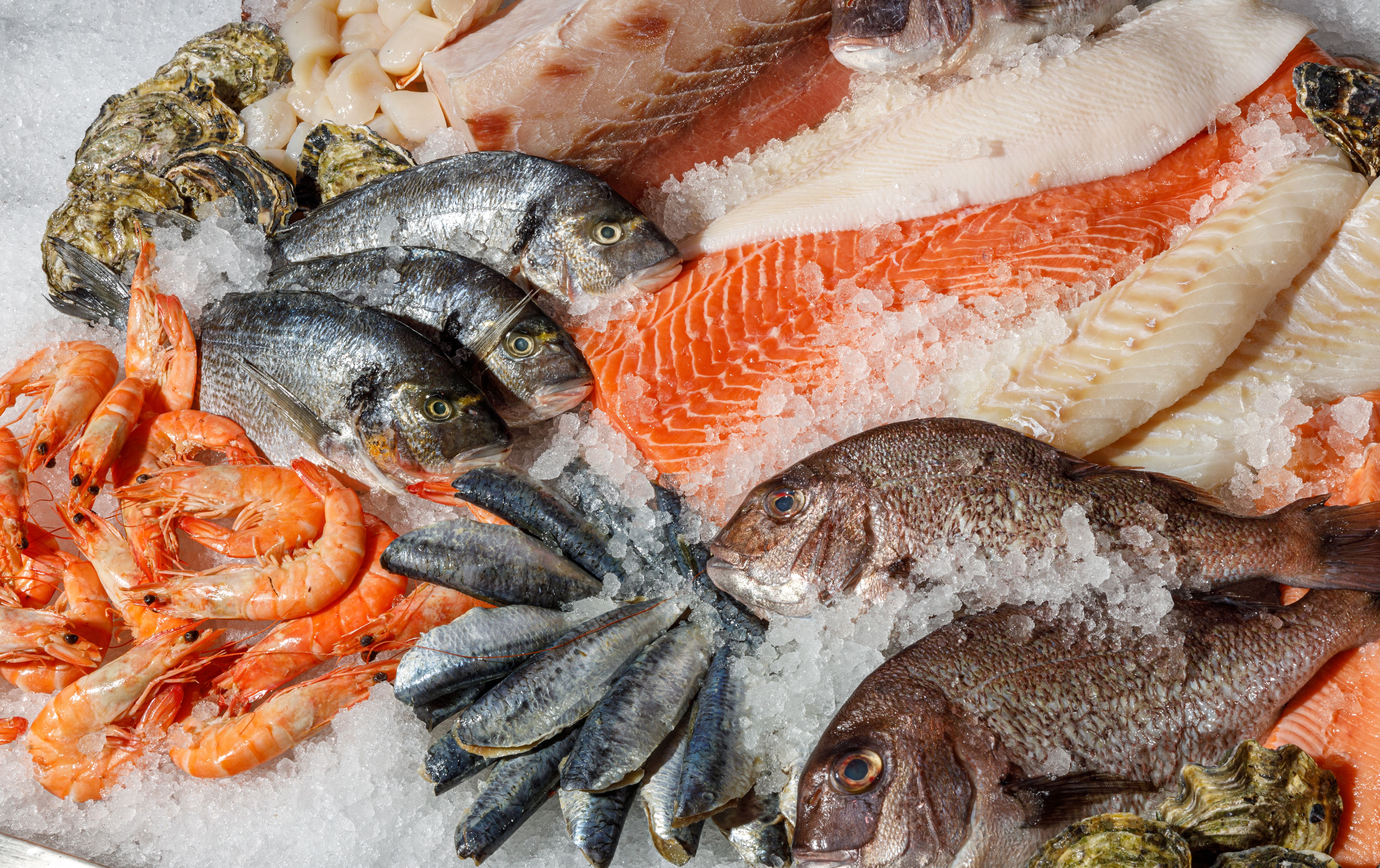 seafood dining