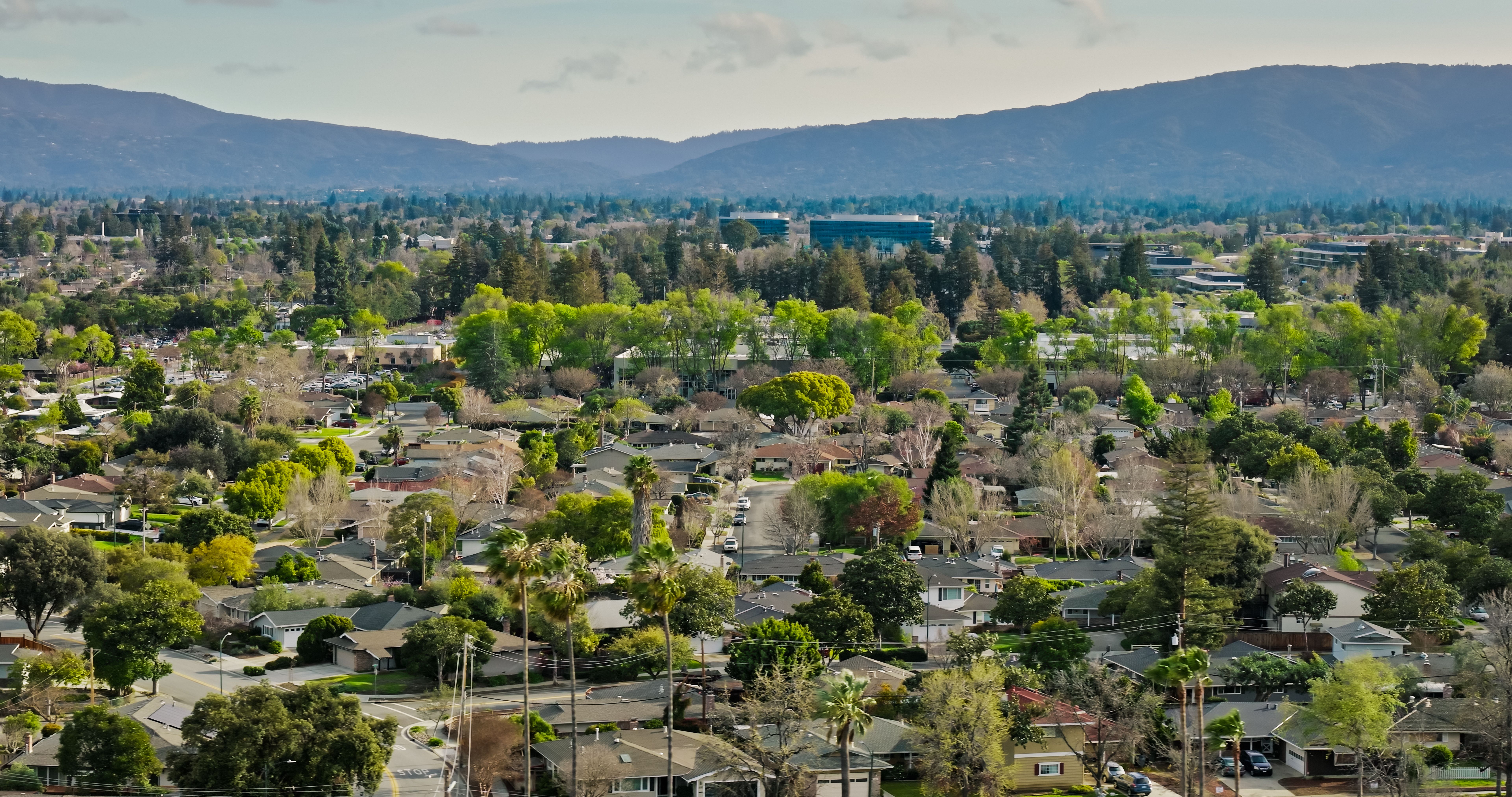 local culture real estate