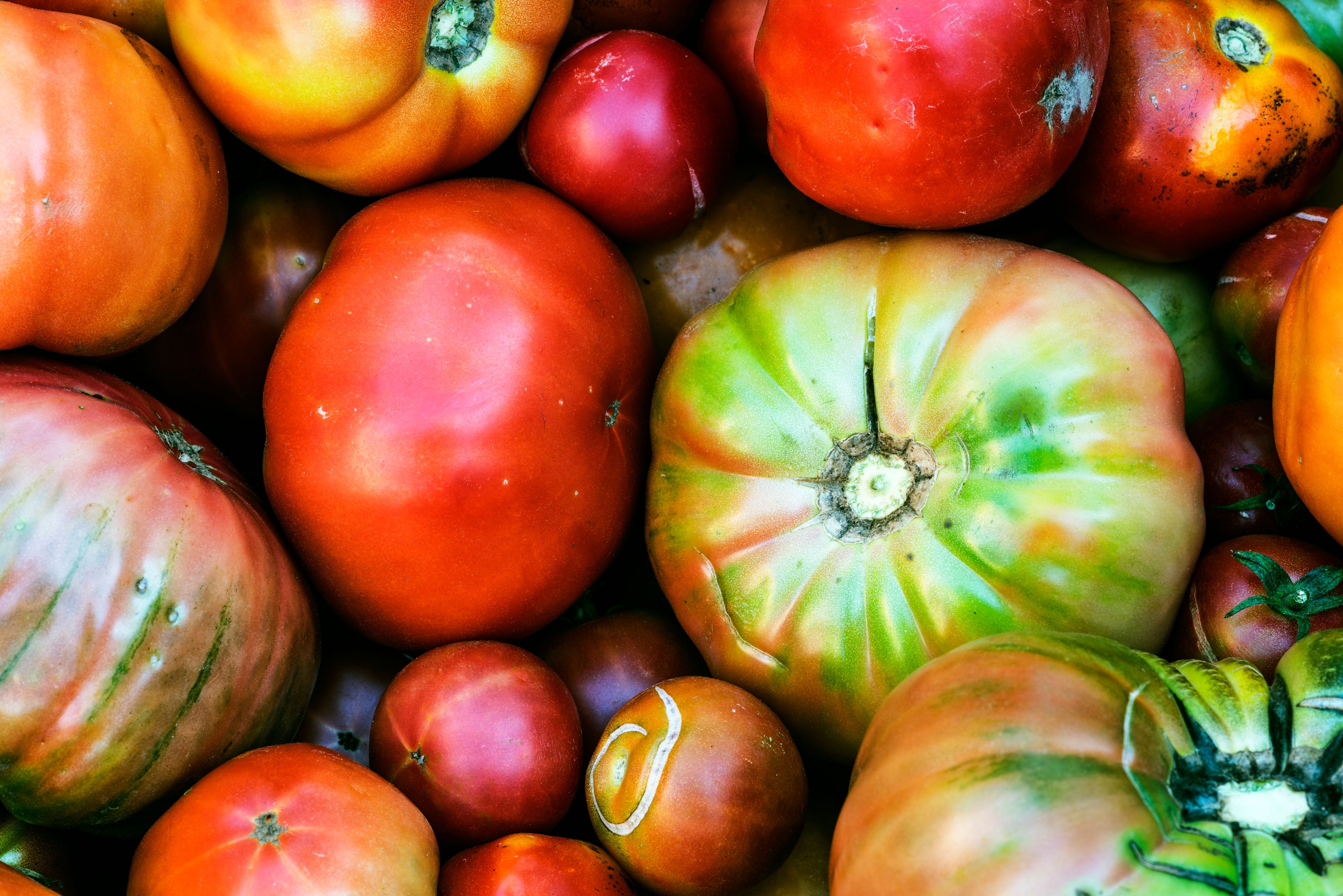 boise farmers market
