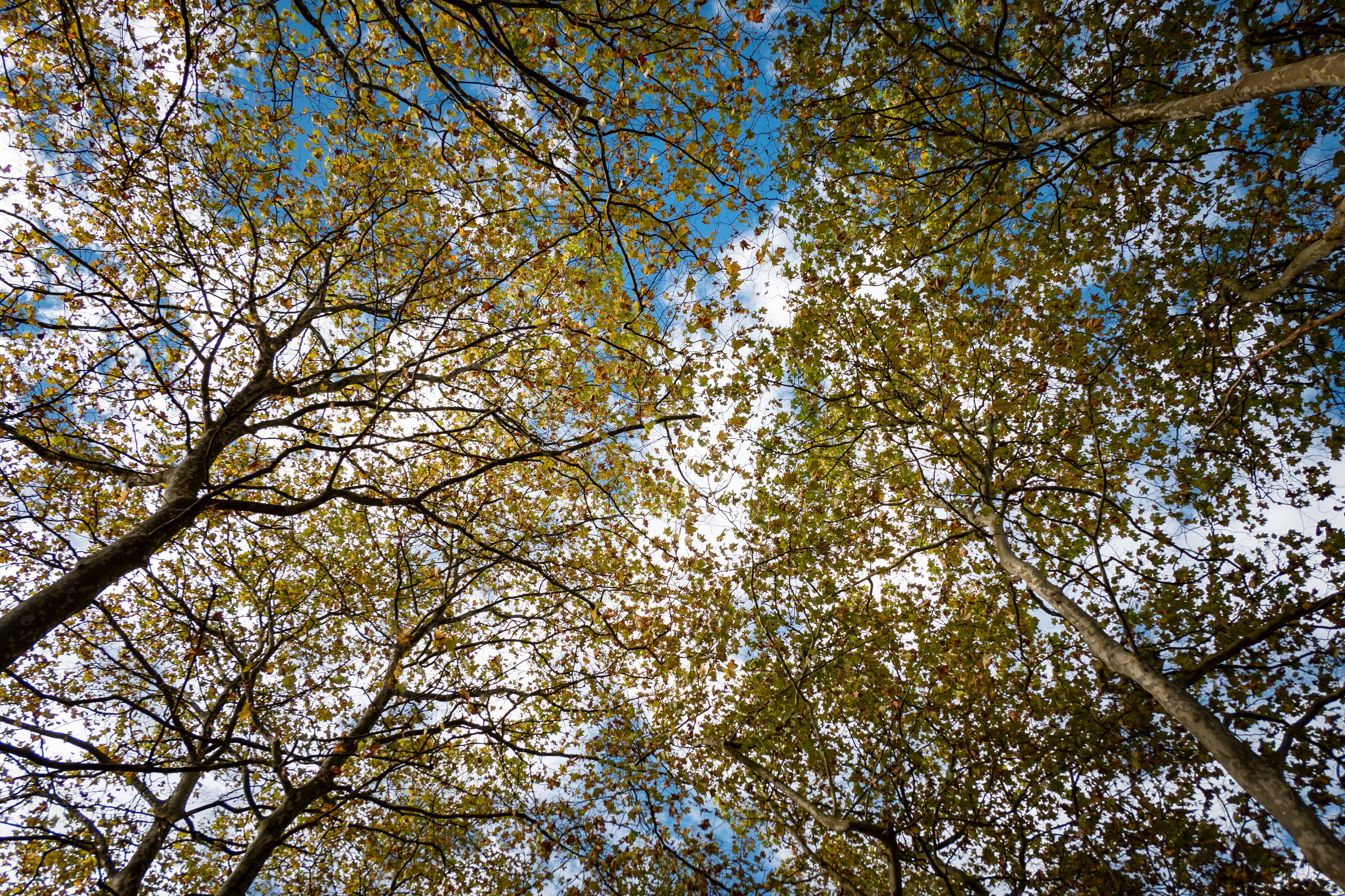 meditação relaxamento
