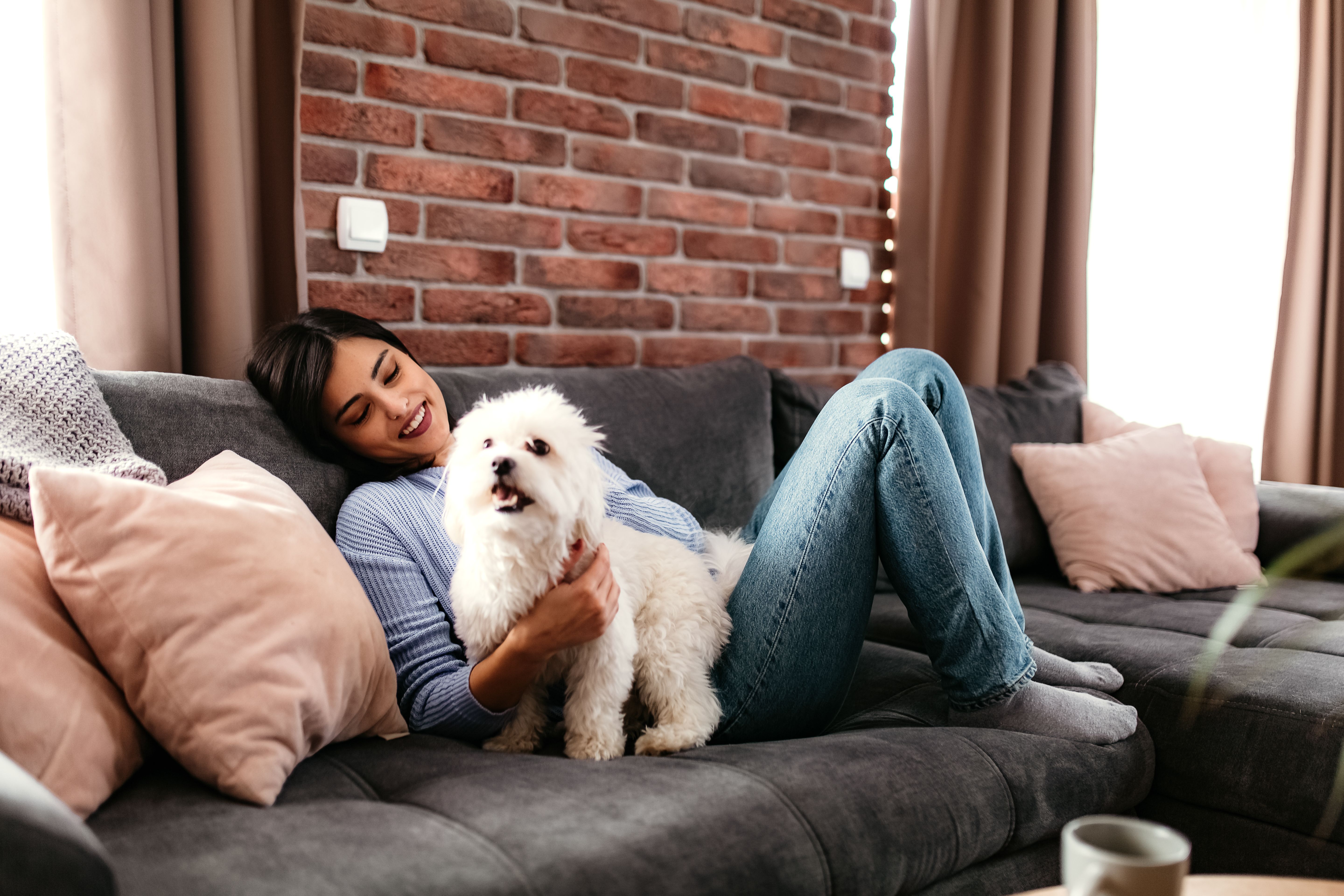 pet-friendly apartments