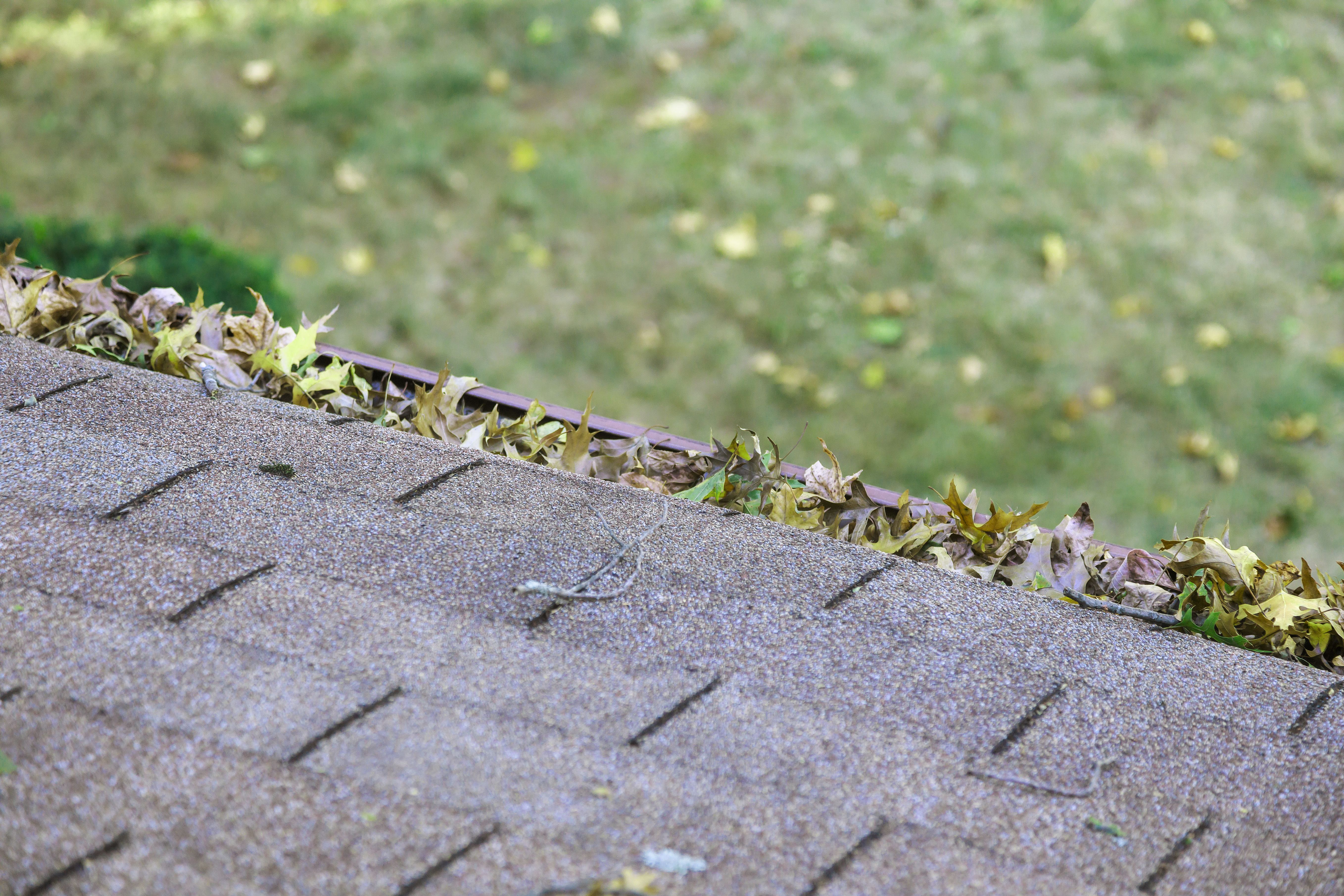 home exterior weather