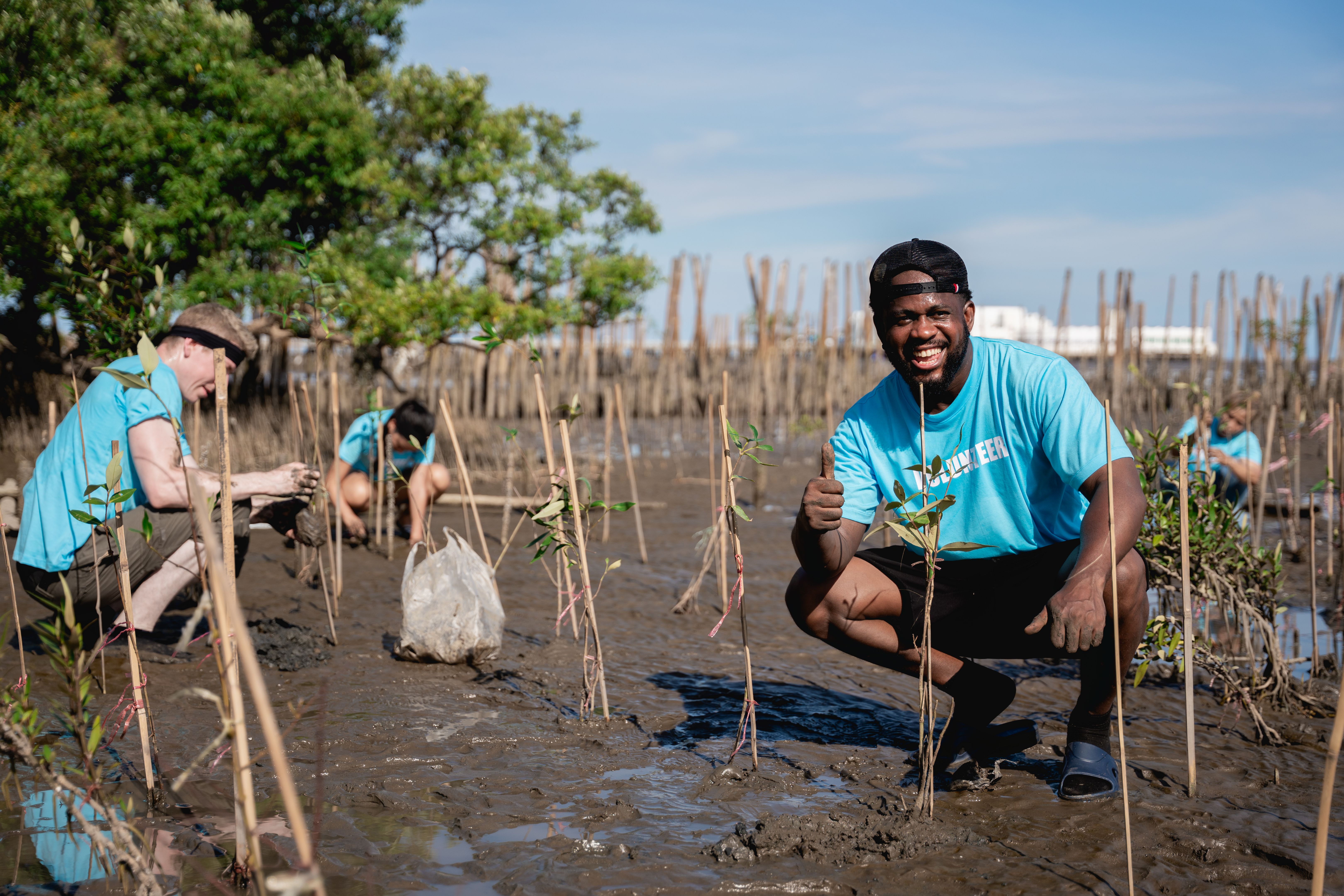 community park restoration