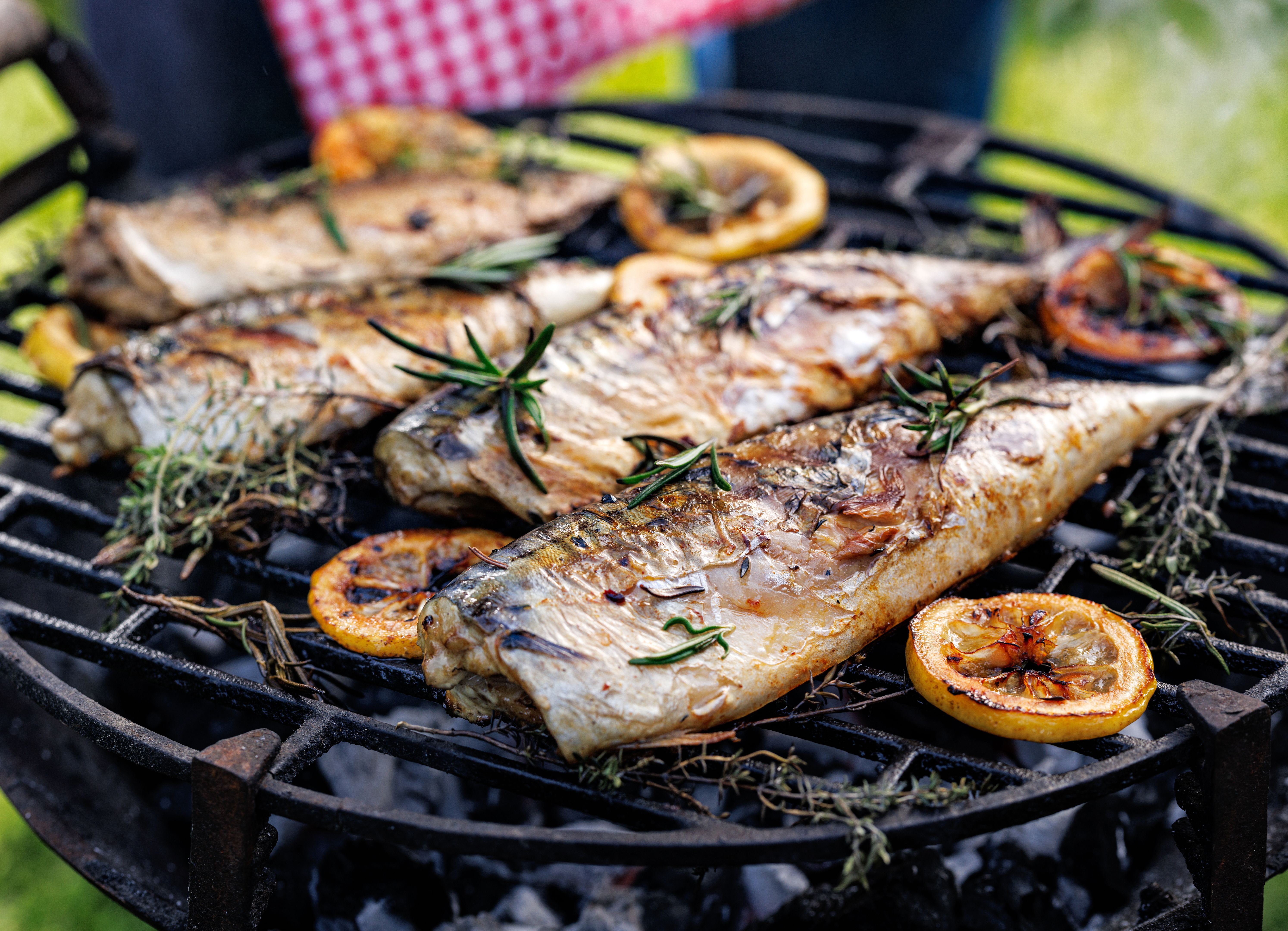 grilled fish