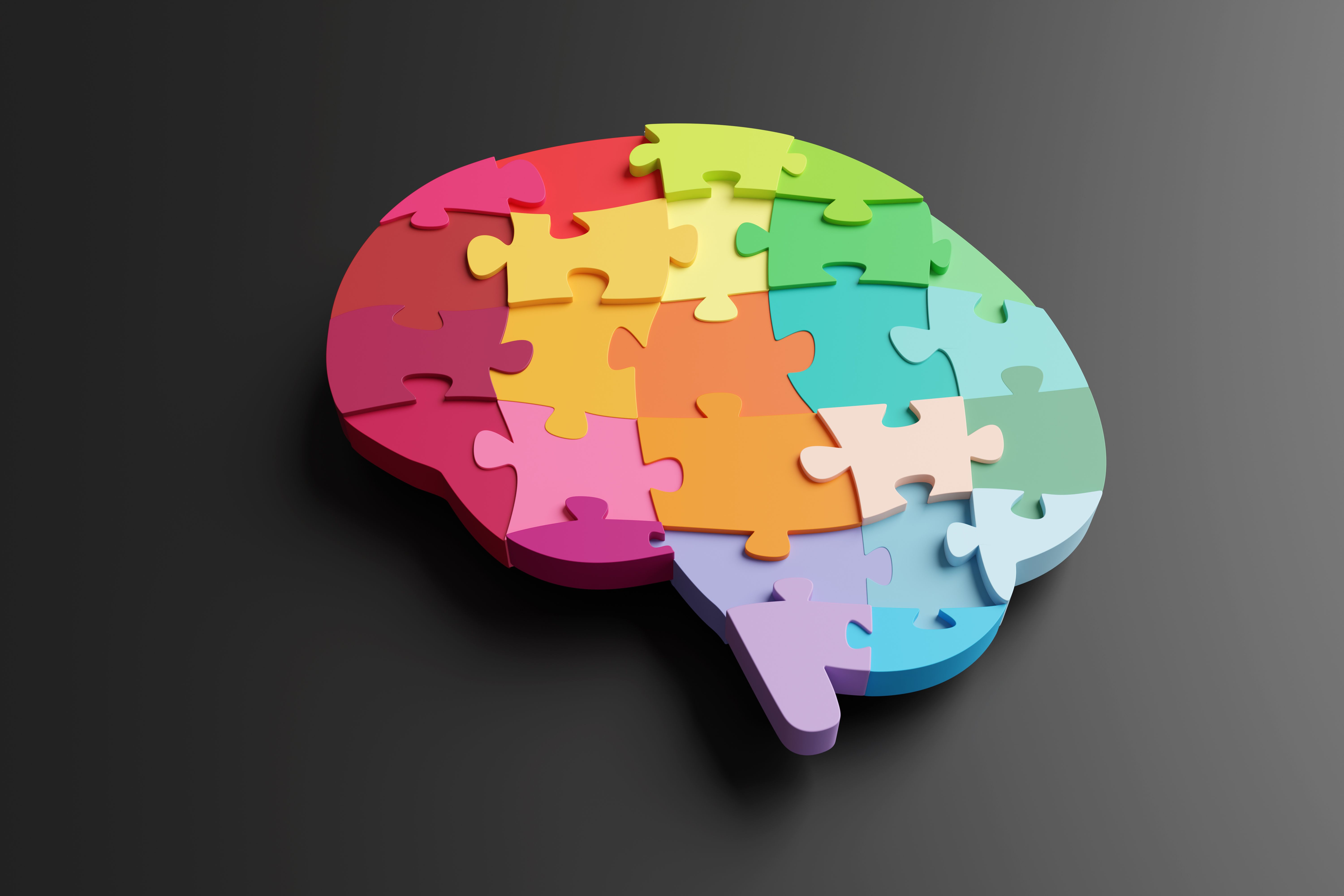 brain puzzle