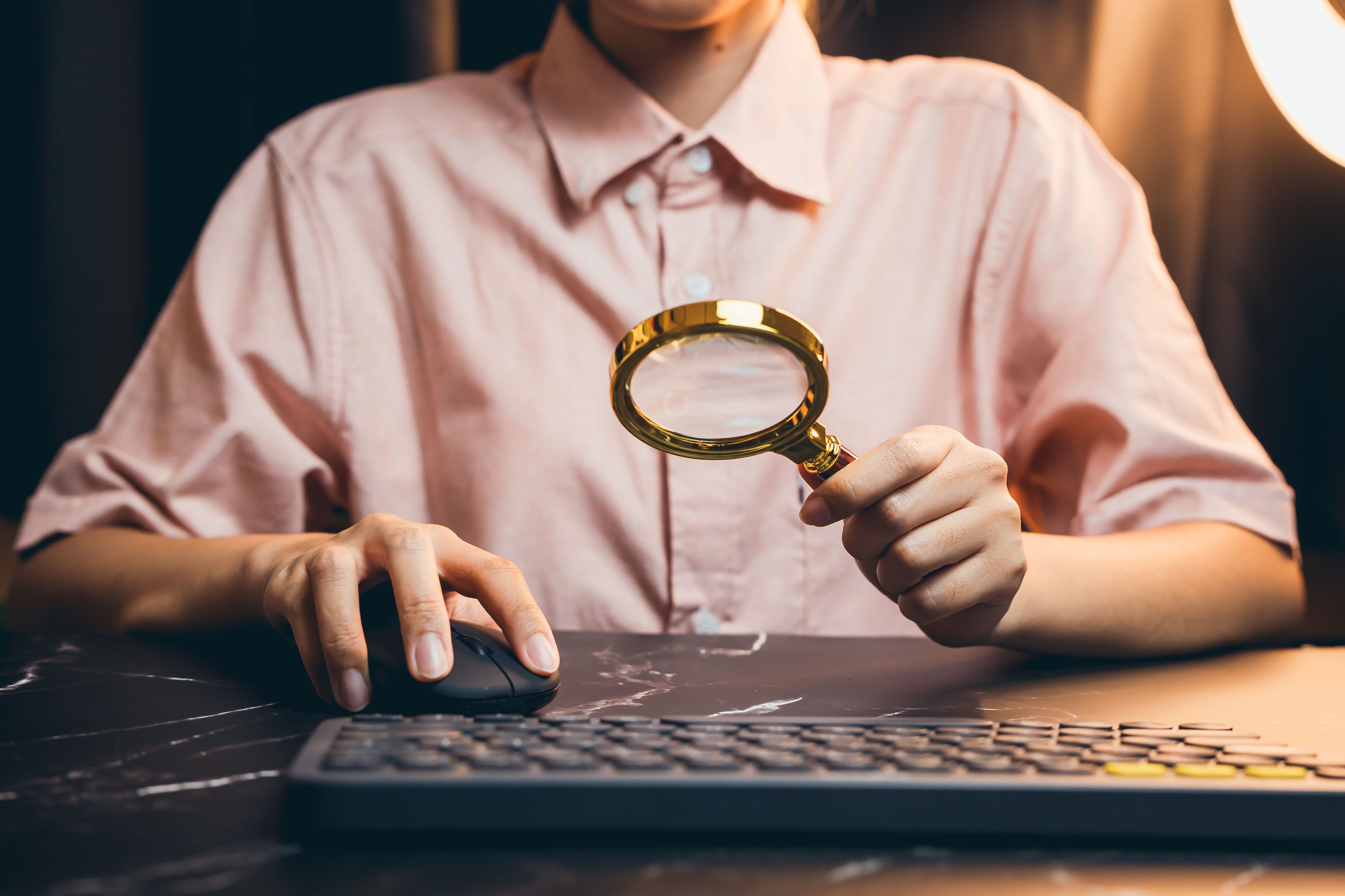 private investigator