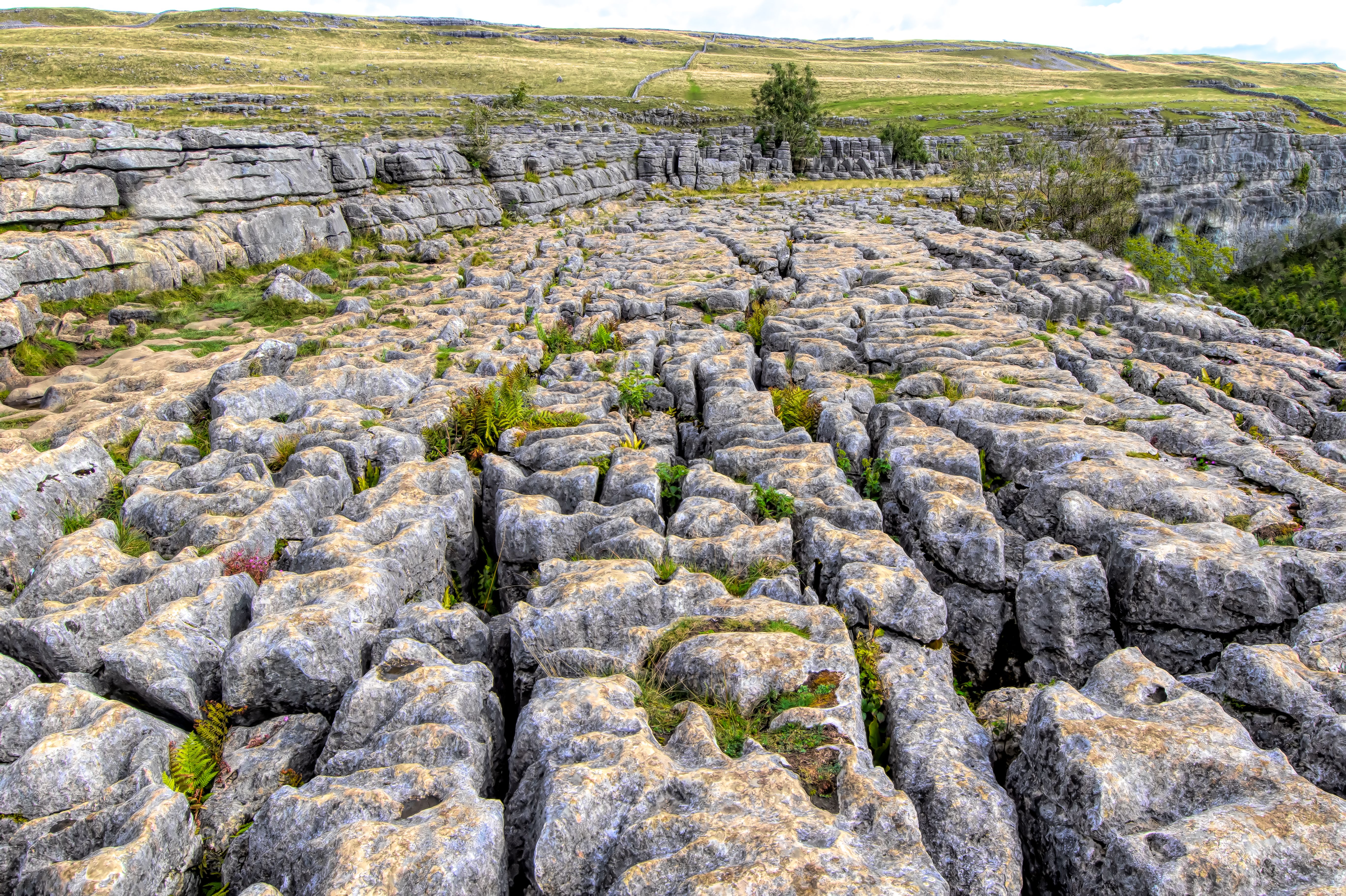 limestone pavement