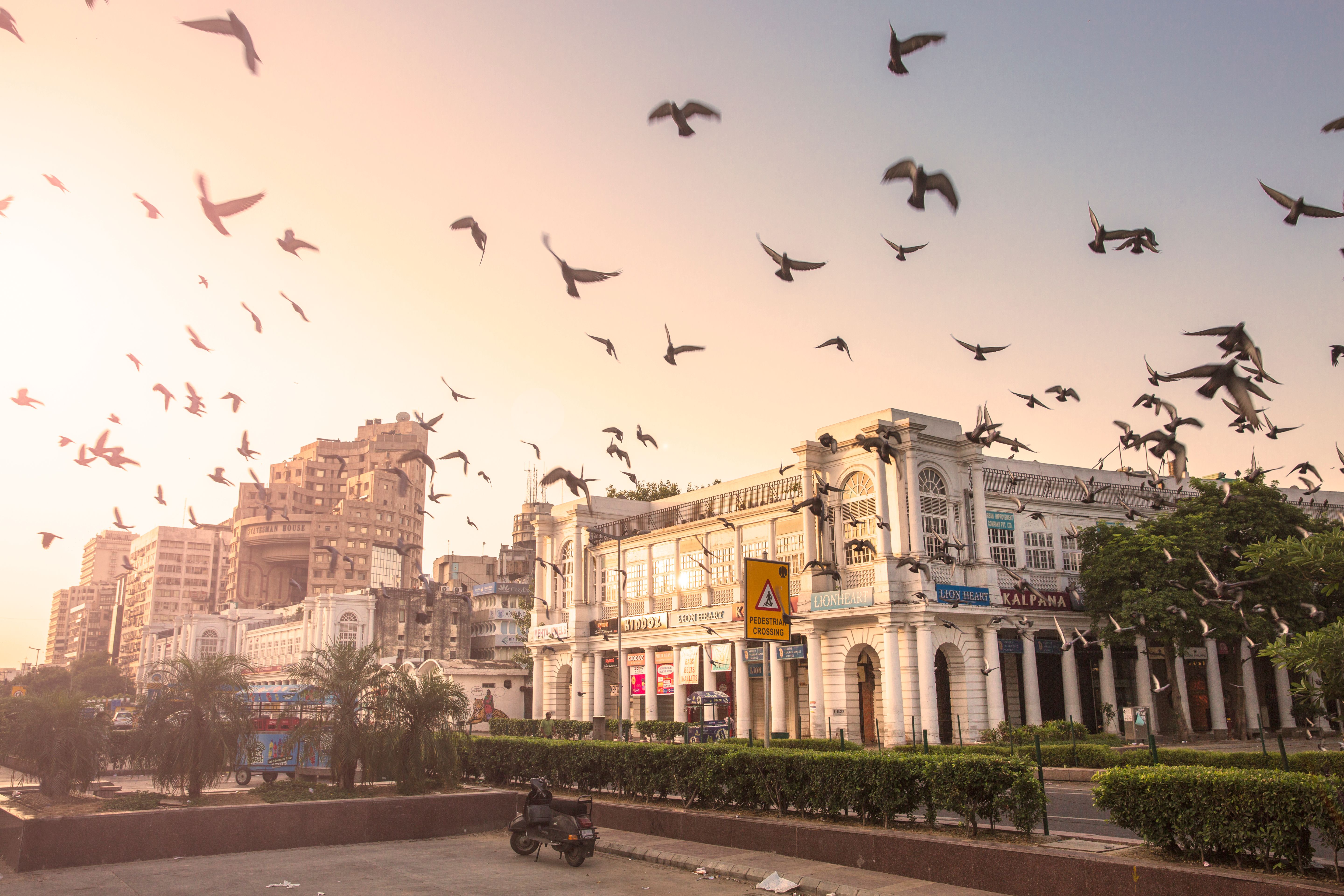 New Delhi market trends
