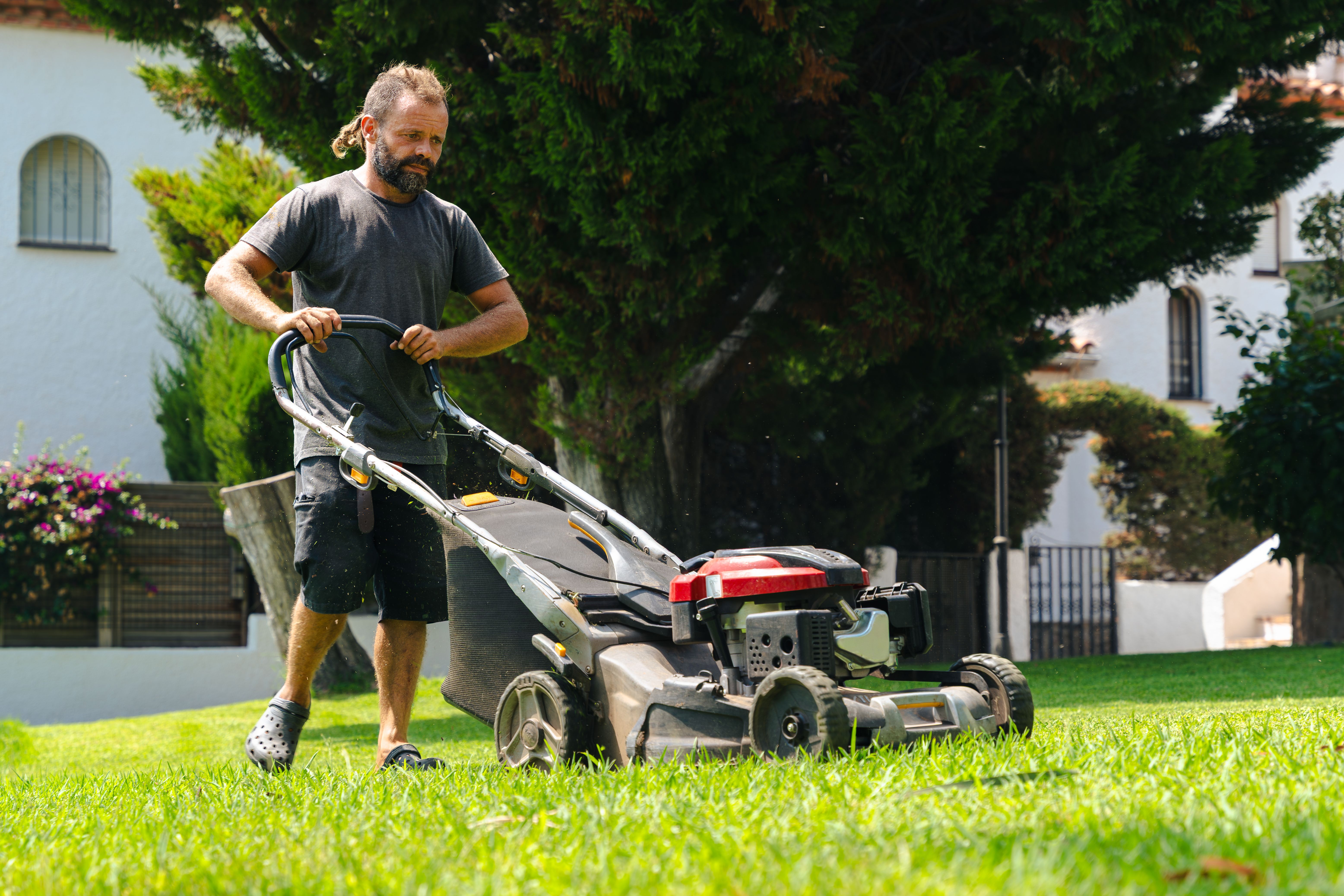 lawn care summer