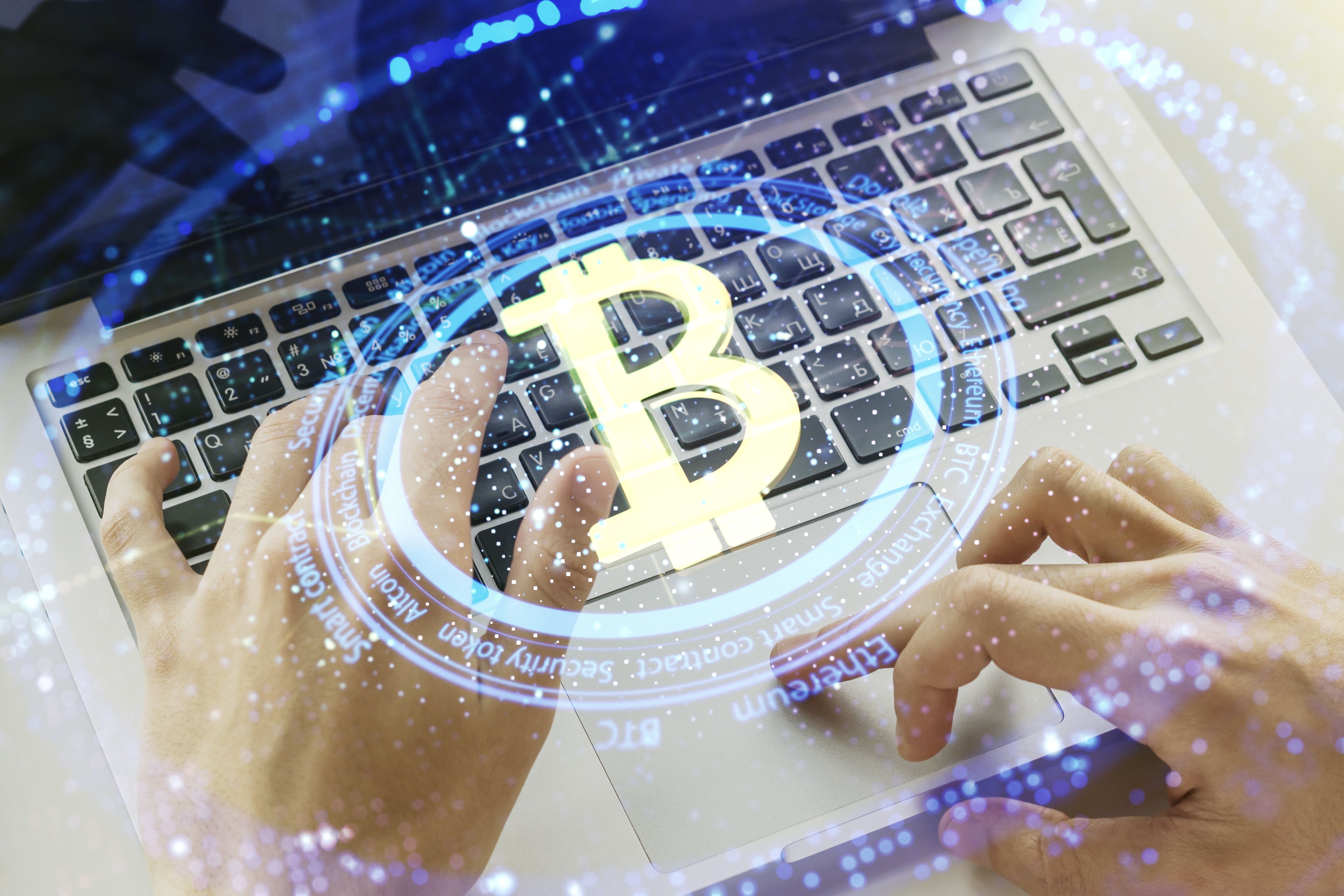 blockchain developers