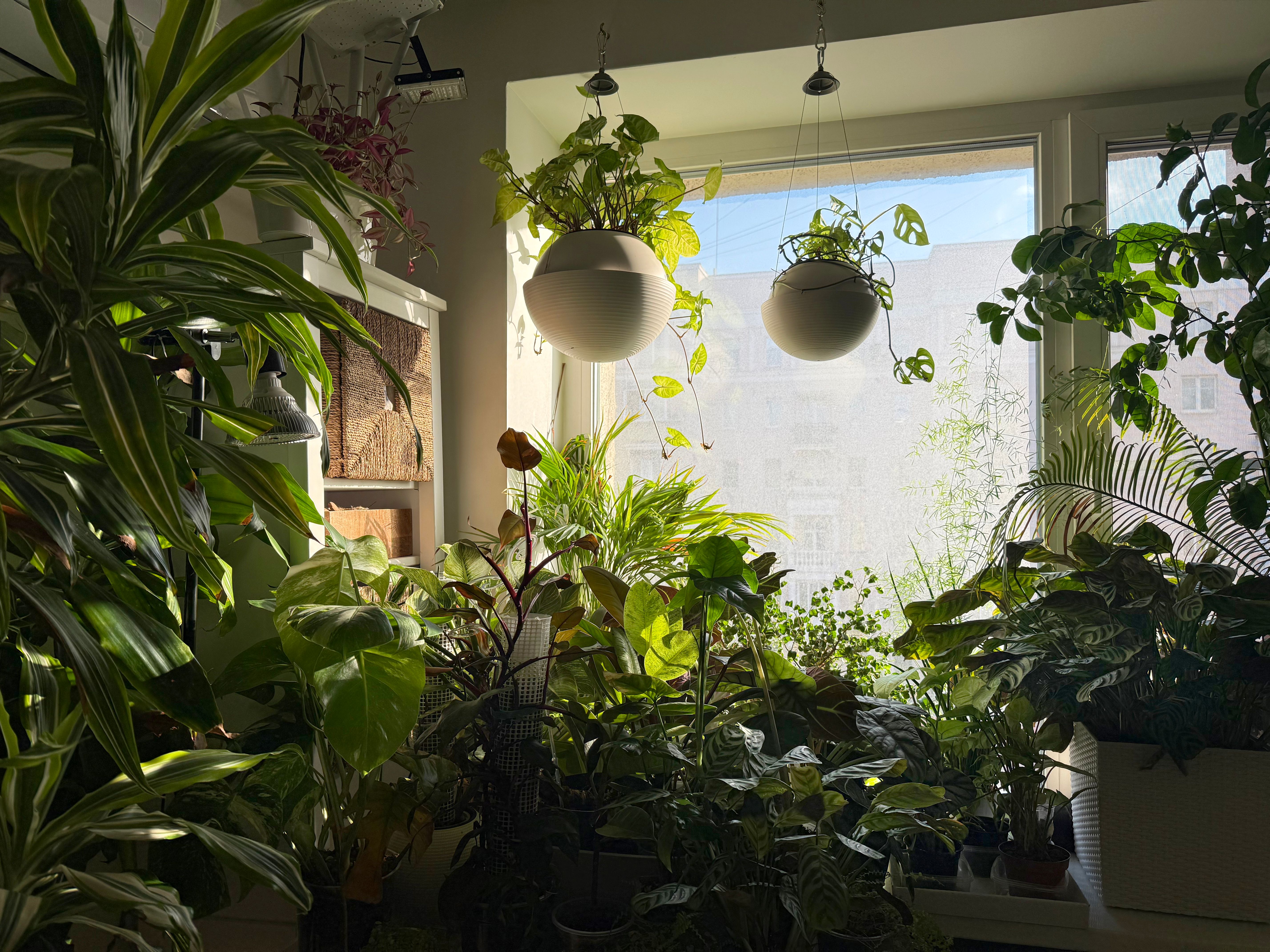 sustainable home design