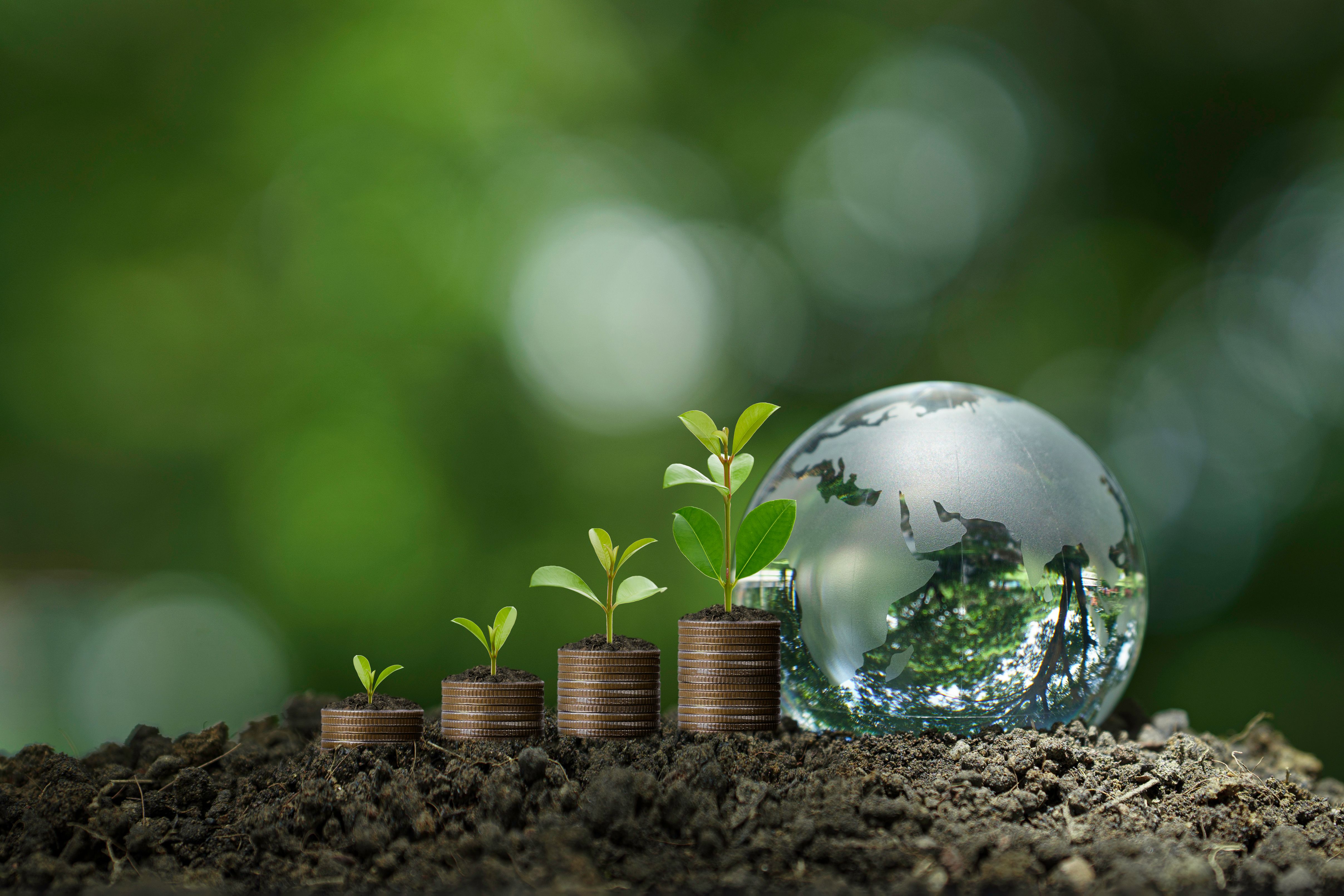 sustainable investment