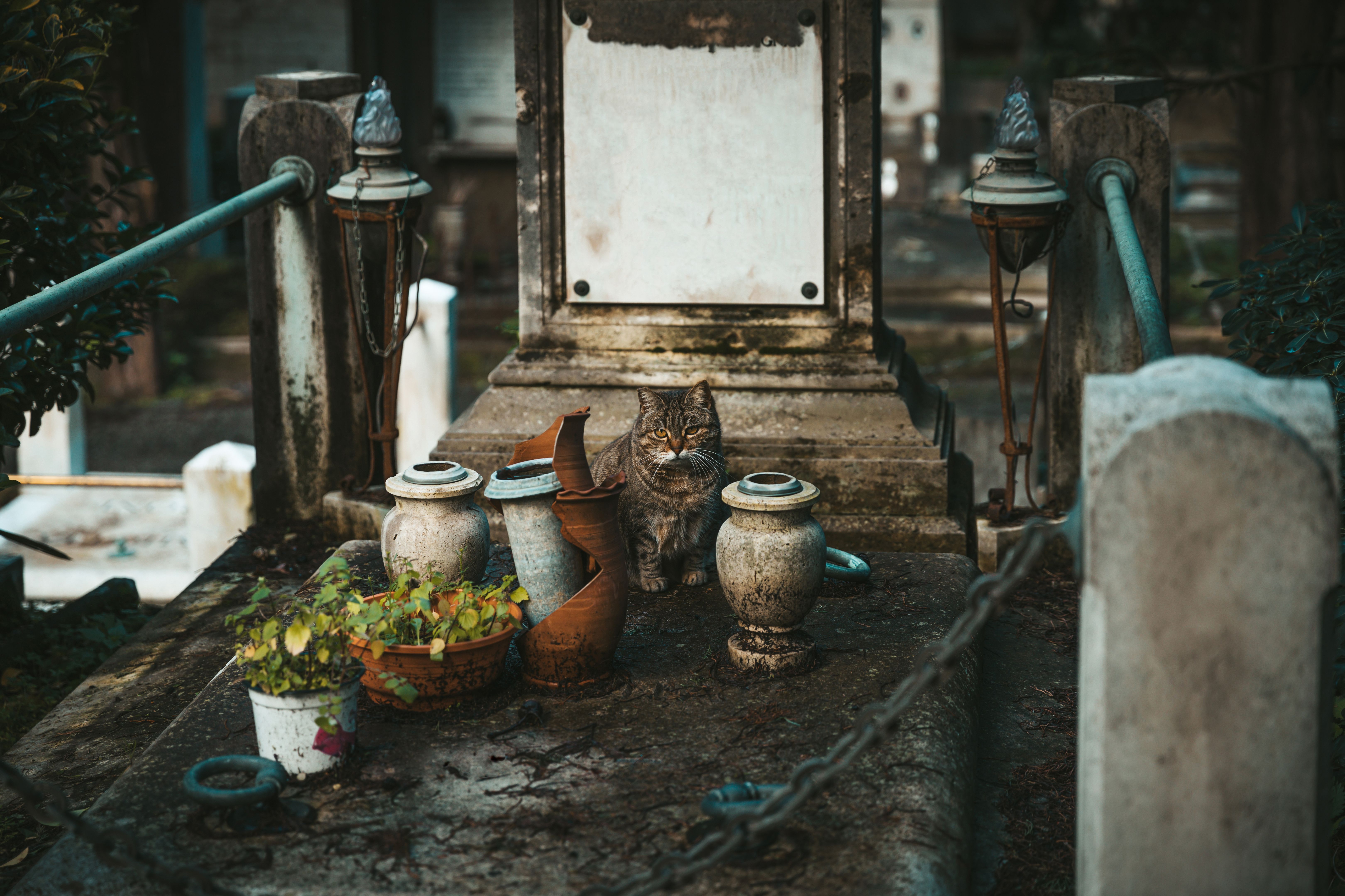 custom pet memorials