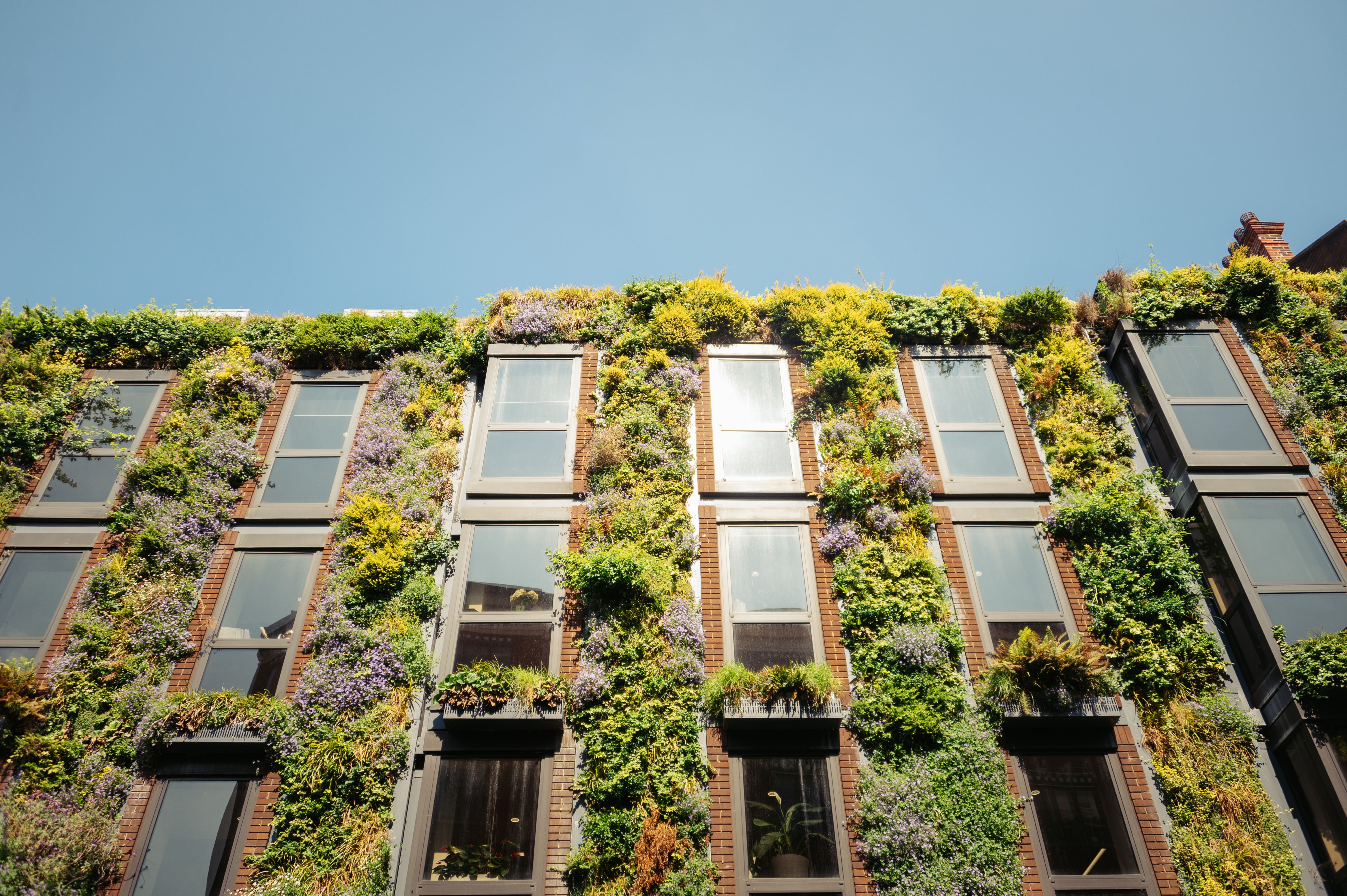 urban sustainability