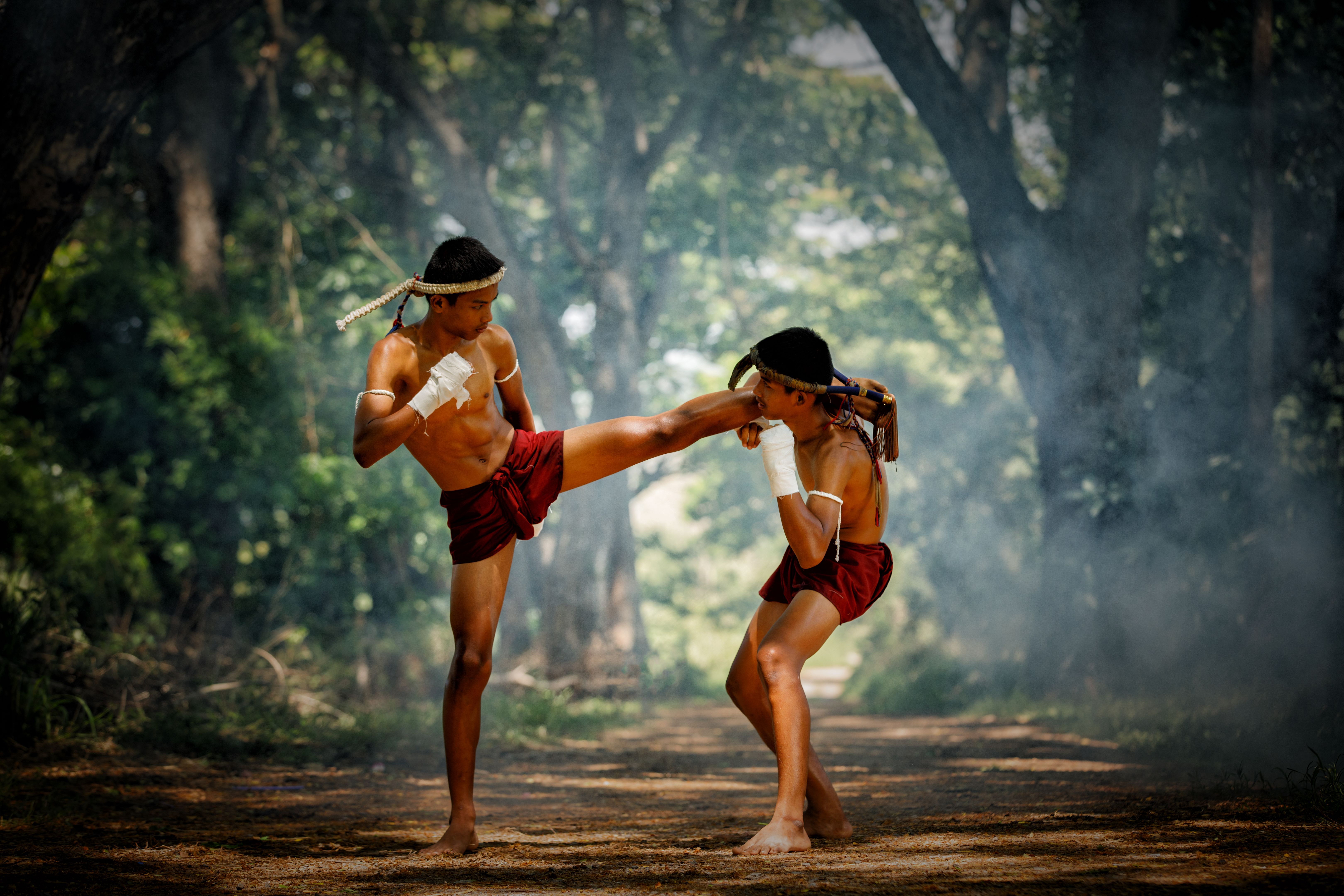 muay thai training partner