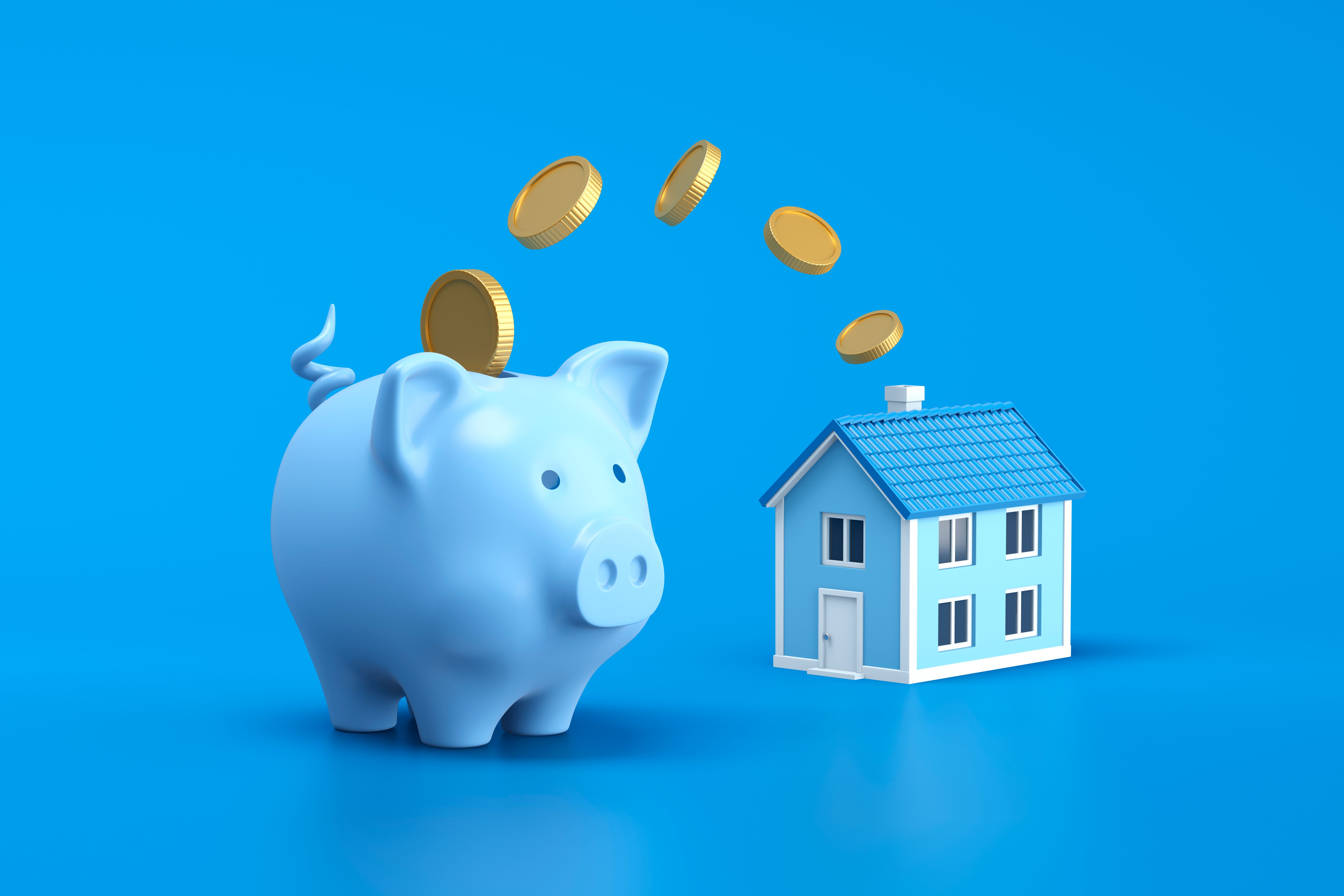 home improvement savings