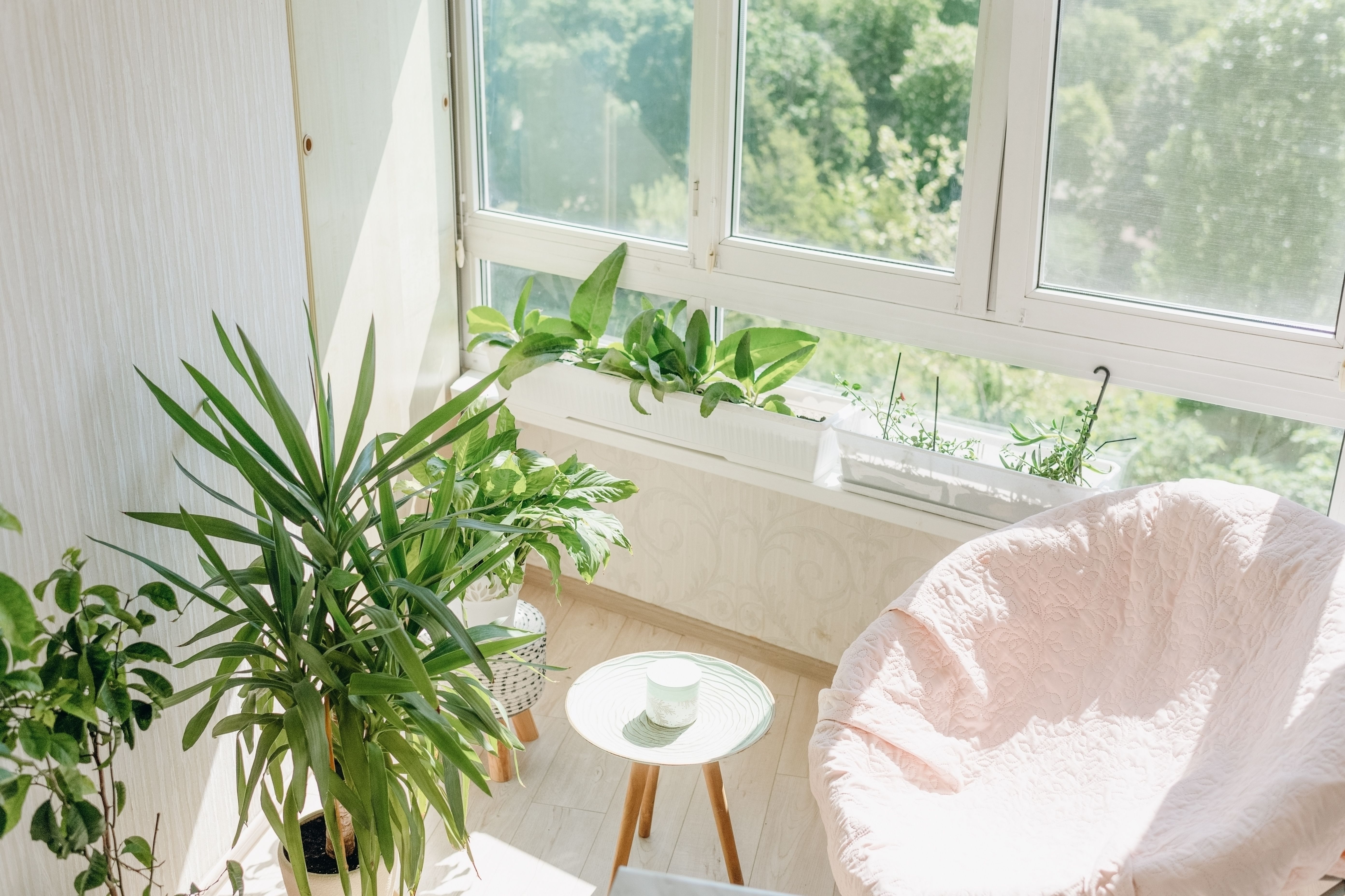 veranda interior in bright colors with home plants and a large armchair
