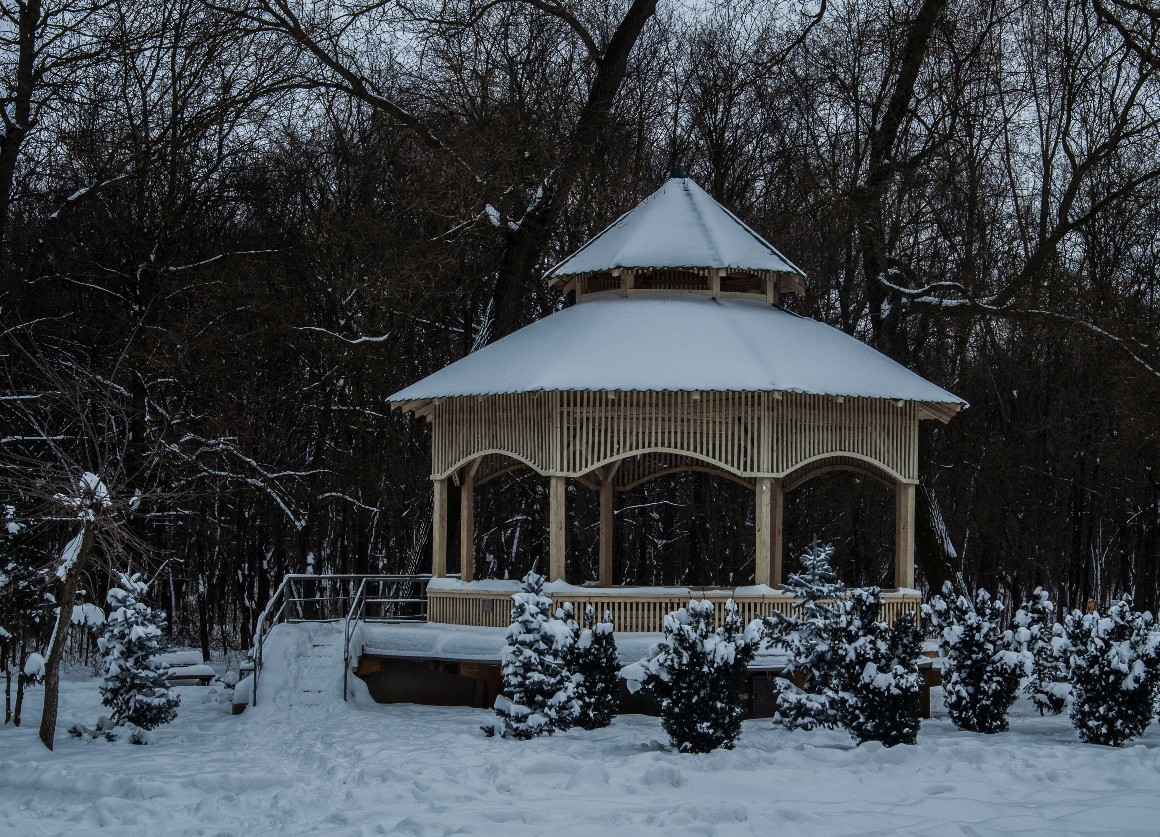 pergola winter