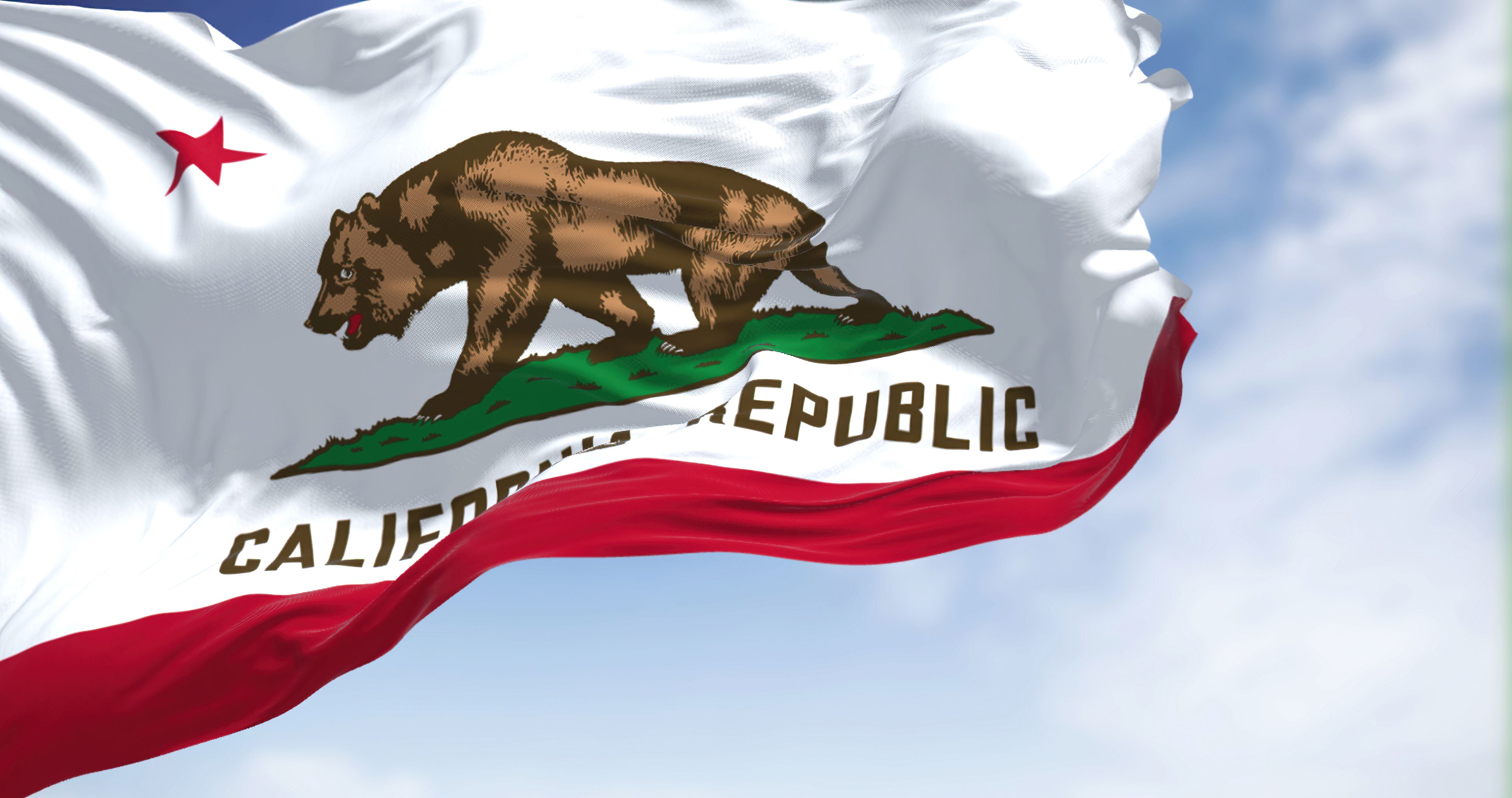 Close-up view of the California flag waving Close-up view of the California flag waving