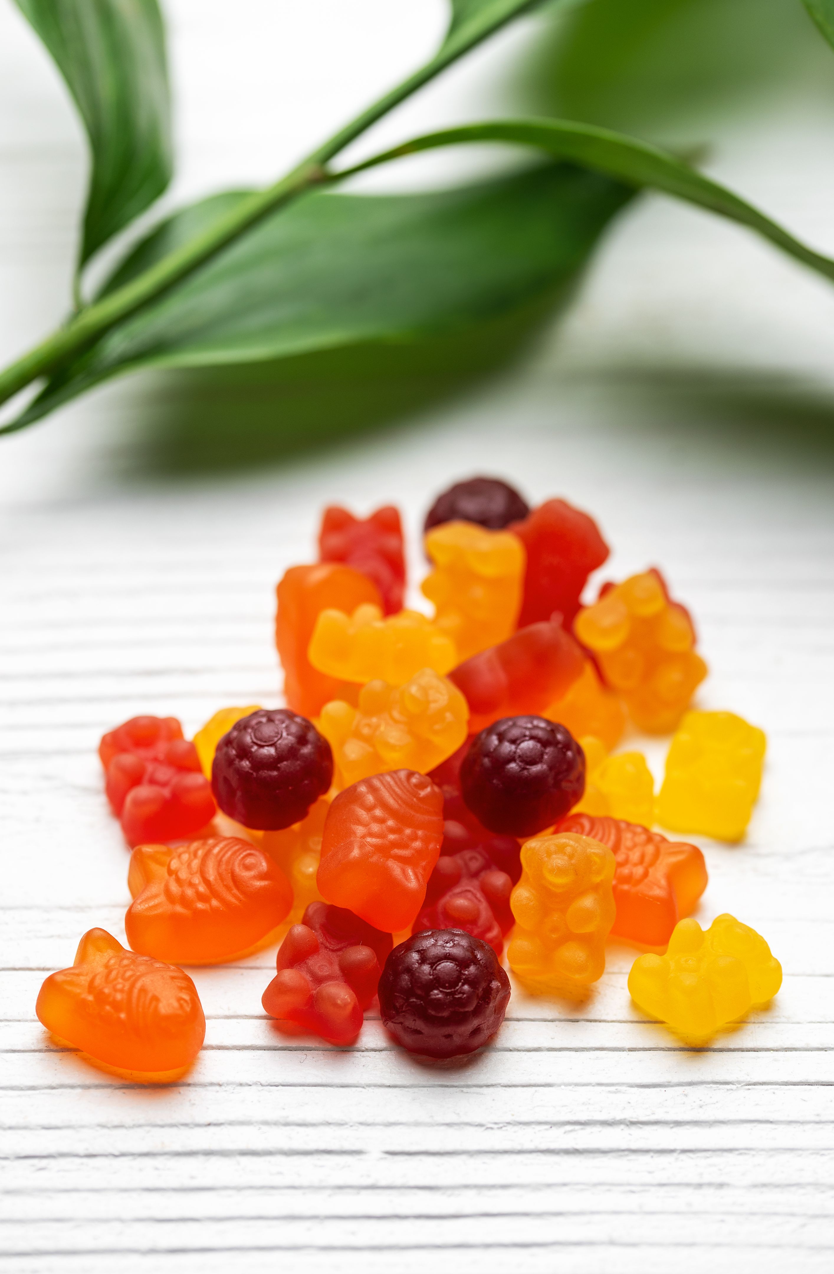 vegan gummies