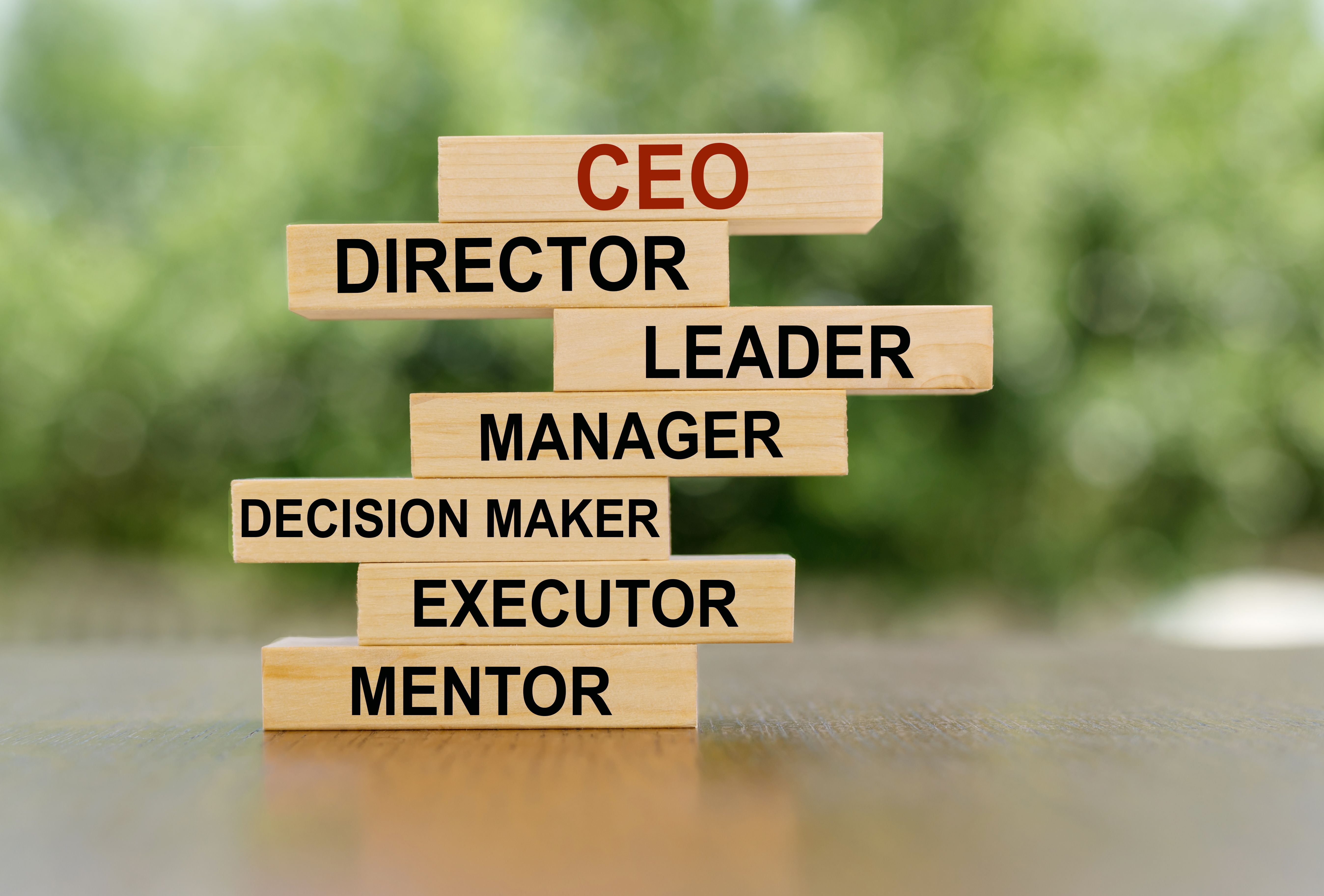 Wooden cubes with CEO concept. Description of the image and role of the CEO. Financial, marketing and business leader concept. Wooden cubes with CEO concept. Description of the image and role of the CEO. Financial, marketing and business leader concept.