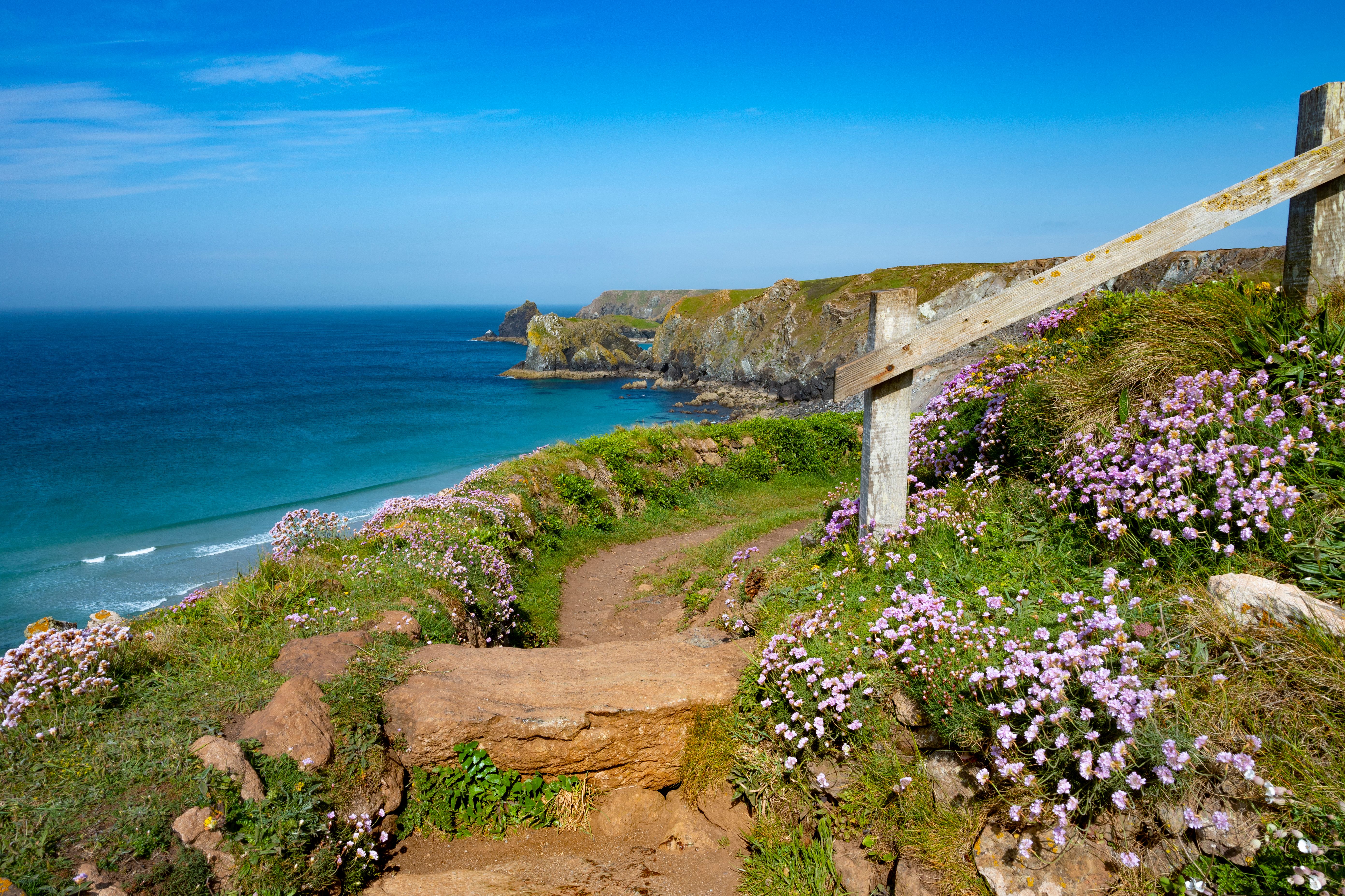 The Southwest Coastal Footpath Near The Lizard Point, Cornwall, England