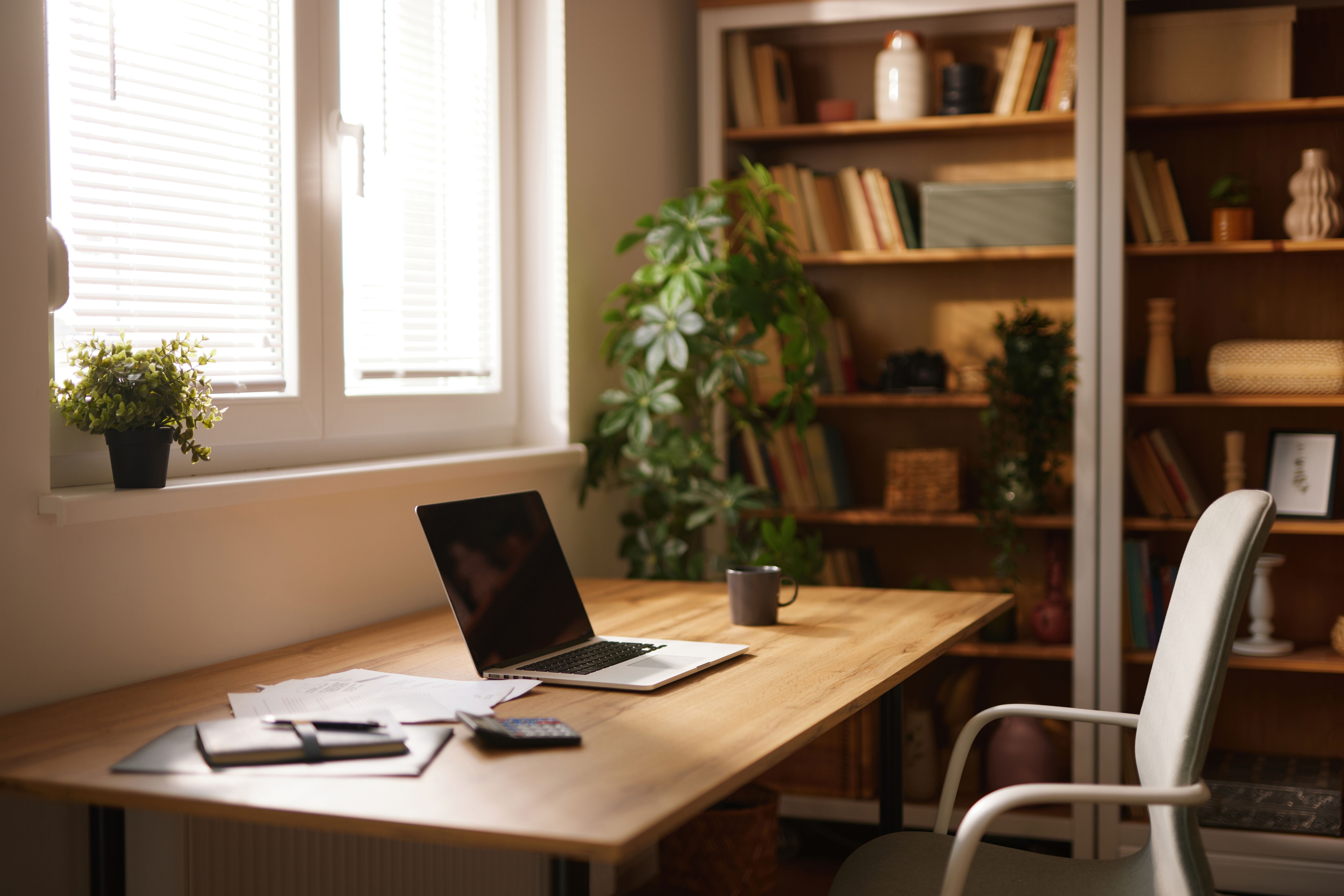 interior design process