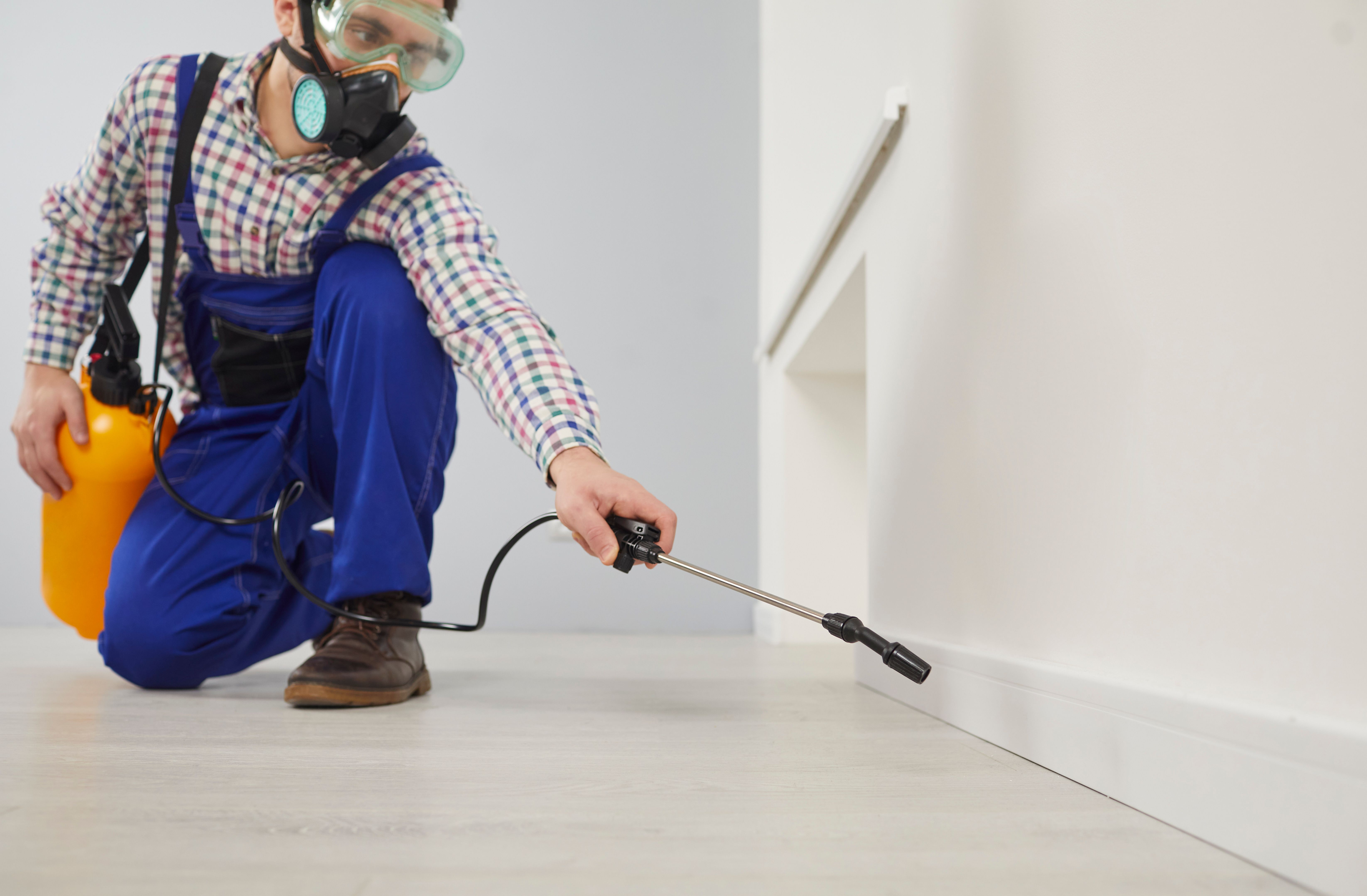 Travailleur du service de lutte antiparasitaire lors du traitement sanitaire de la maison avec des sprays chimiques insecticides.
