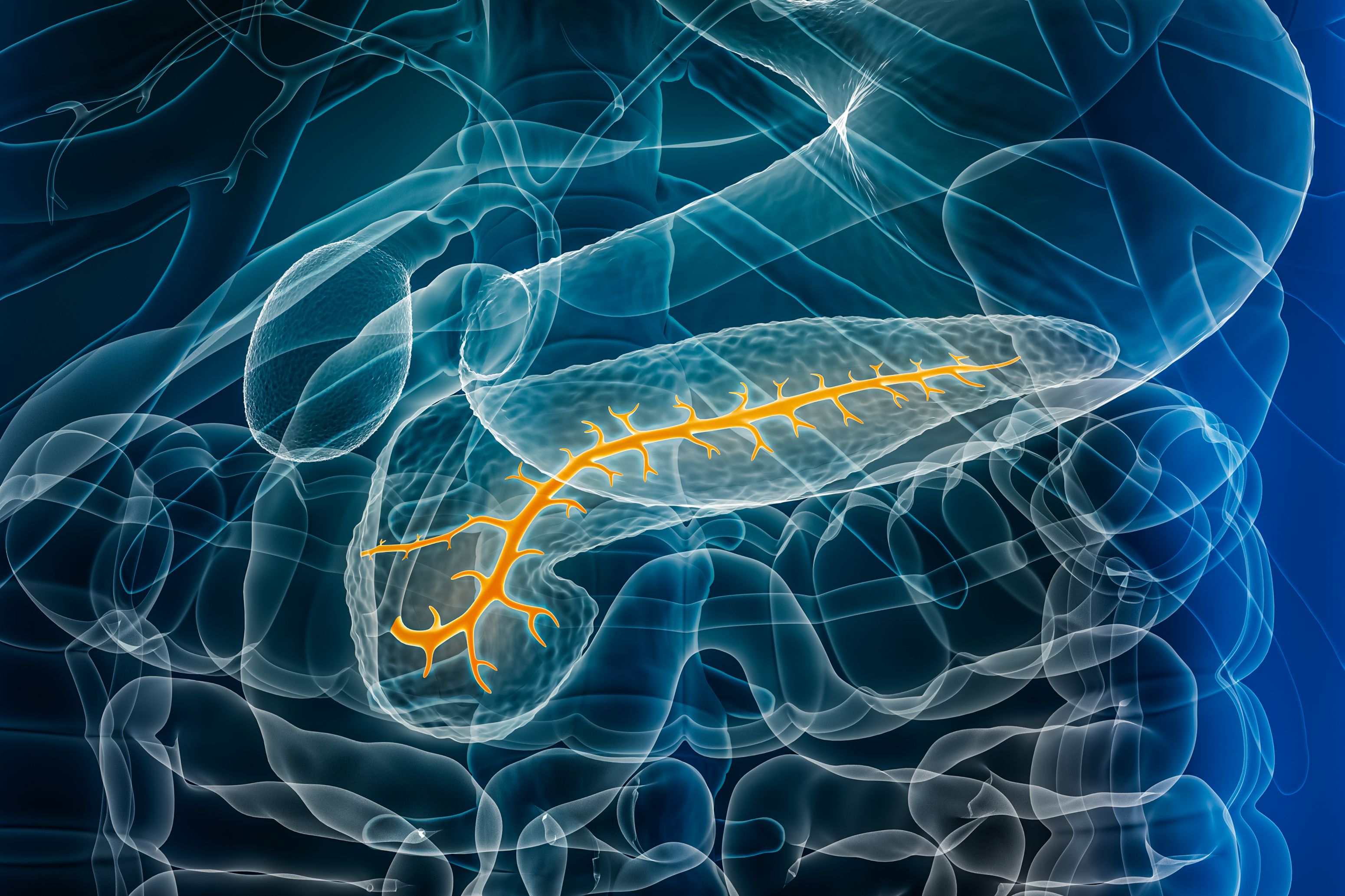 3d scanning education