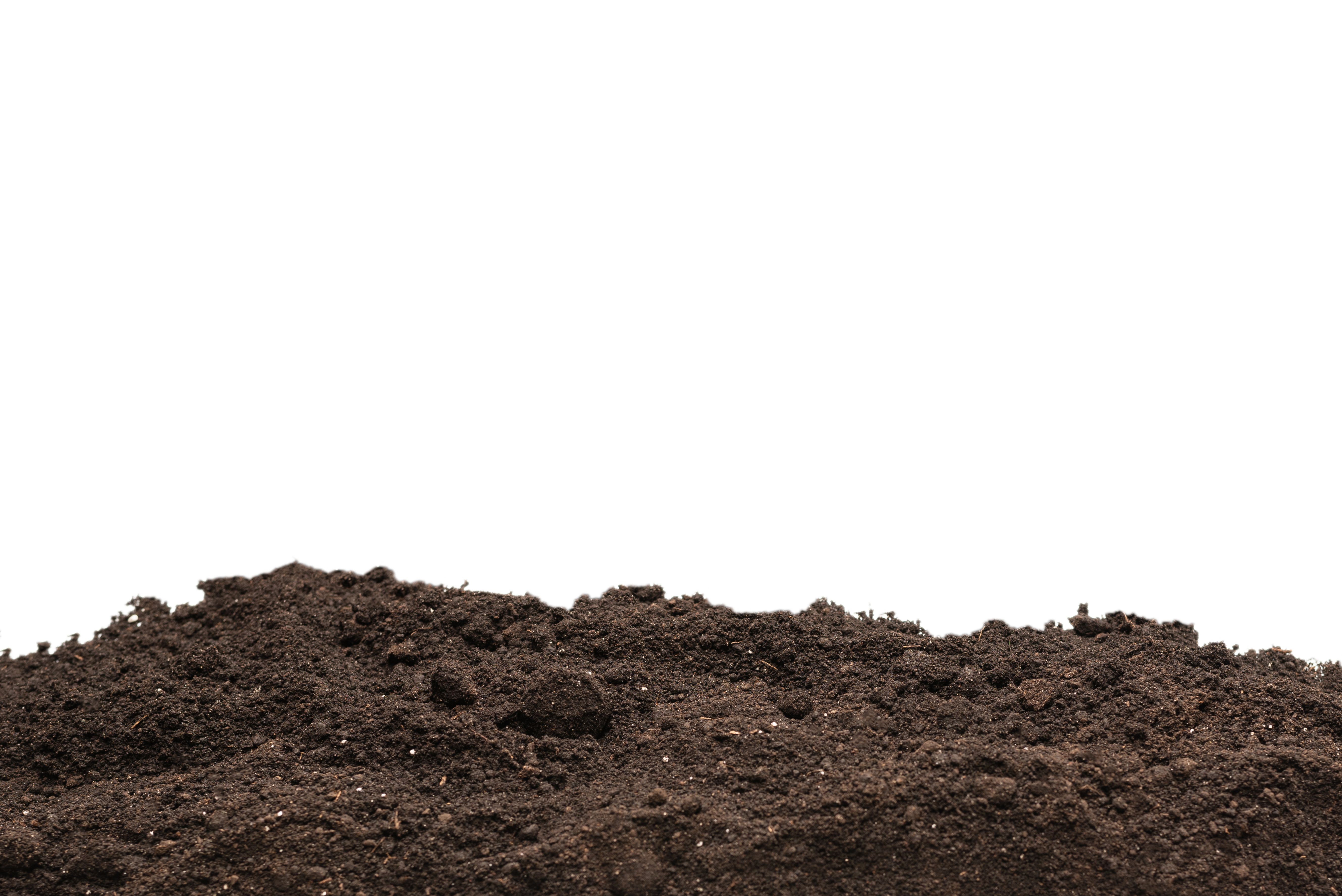 potting soil
