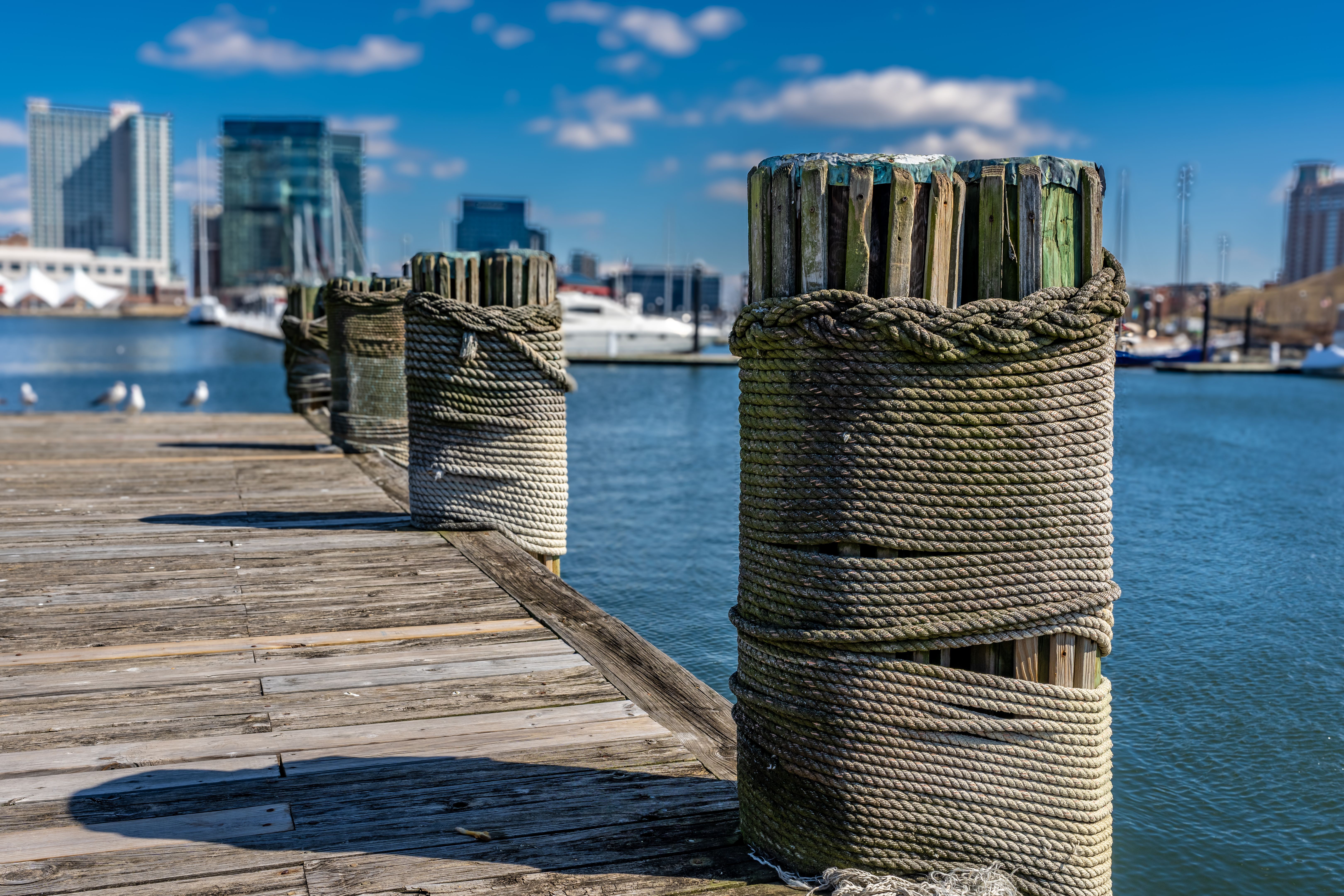 baltimore neighborhood