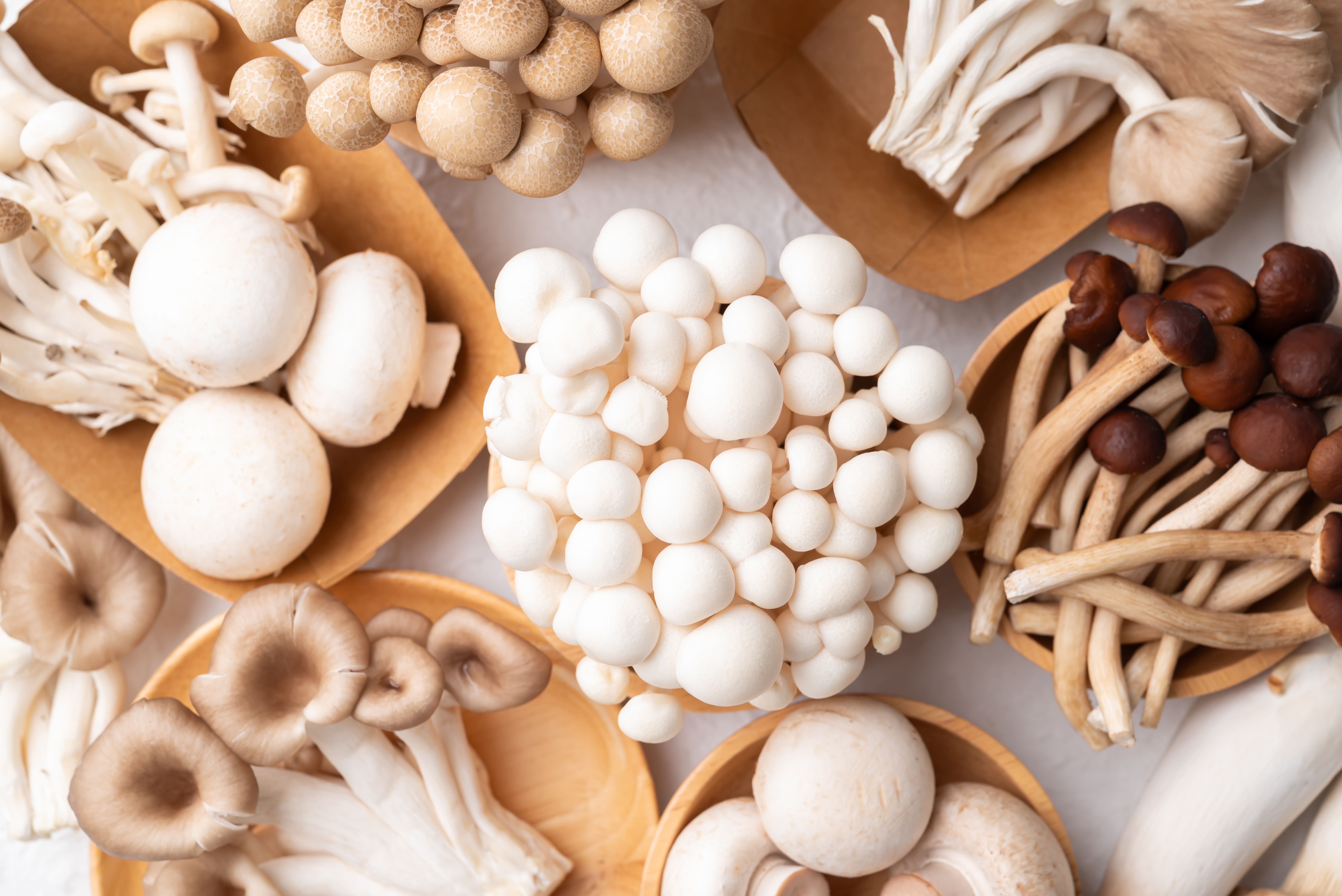 farm fresh mushrooms