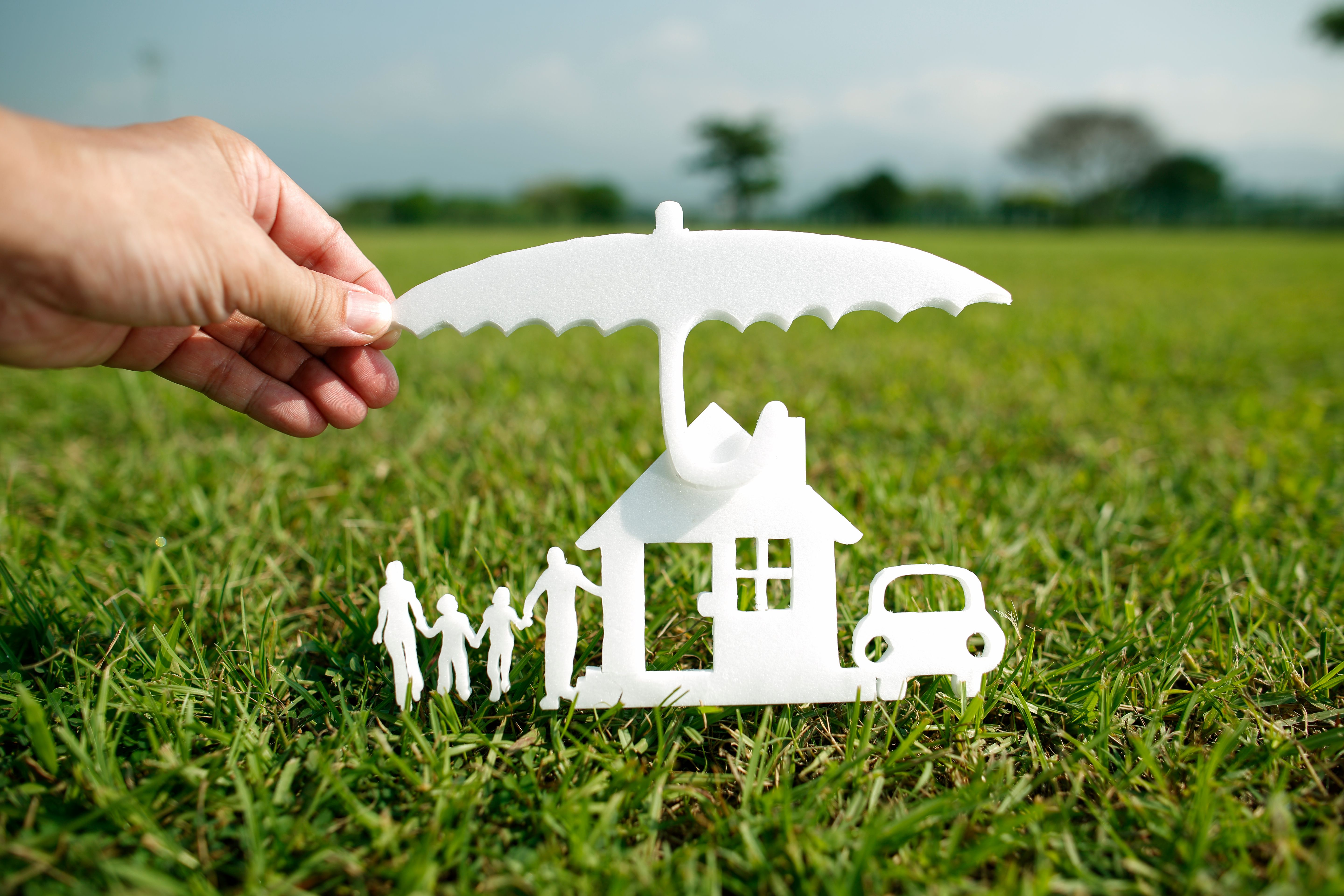 Protection of the family property