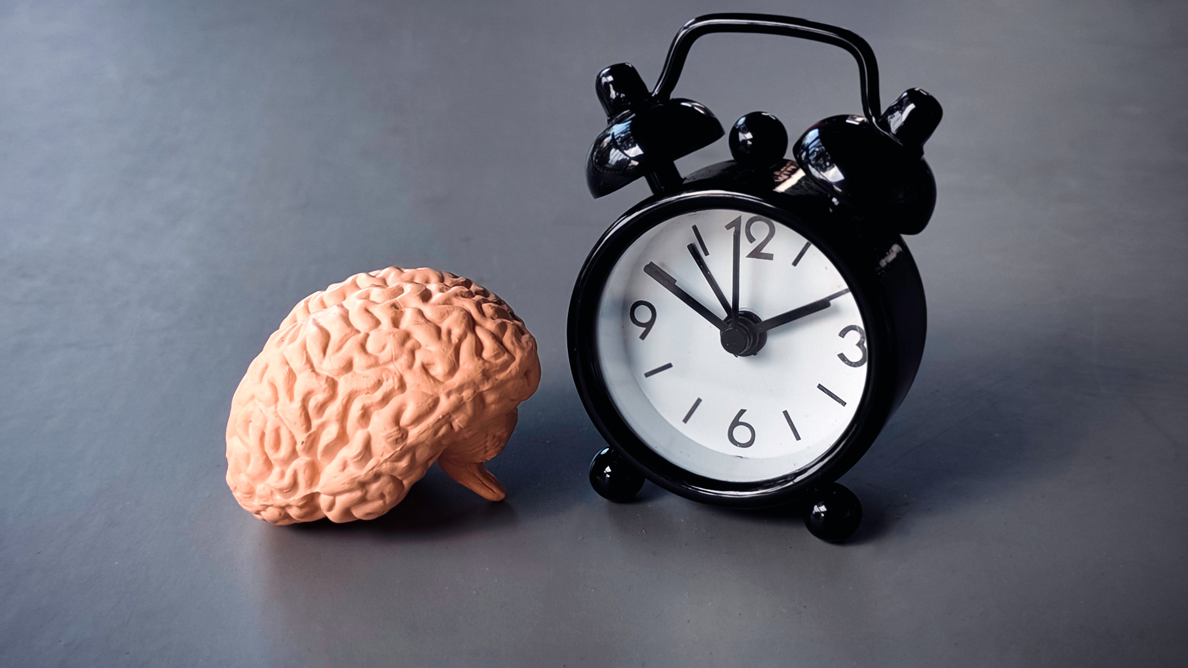Brain with Alarm Clock Symbolizing Wakefulness, Cognitive Function, and Time Awareness Brain with Alarm Clock Symbolizing Wakefulness, Cognitive Function, and Time Awareness