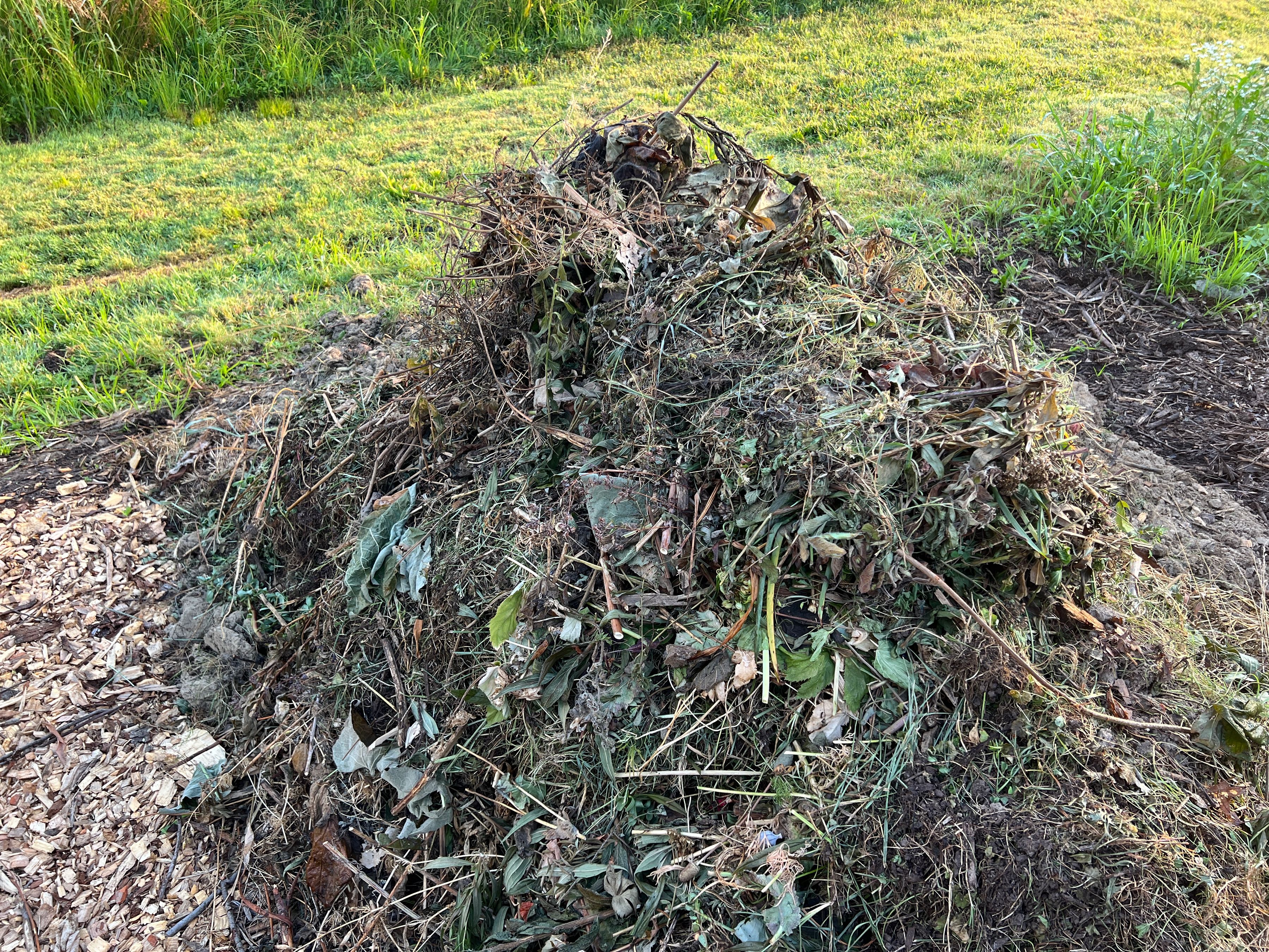 compost pile