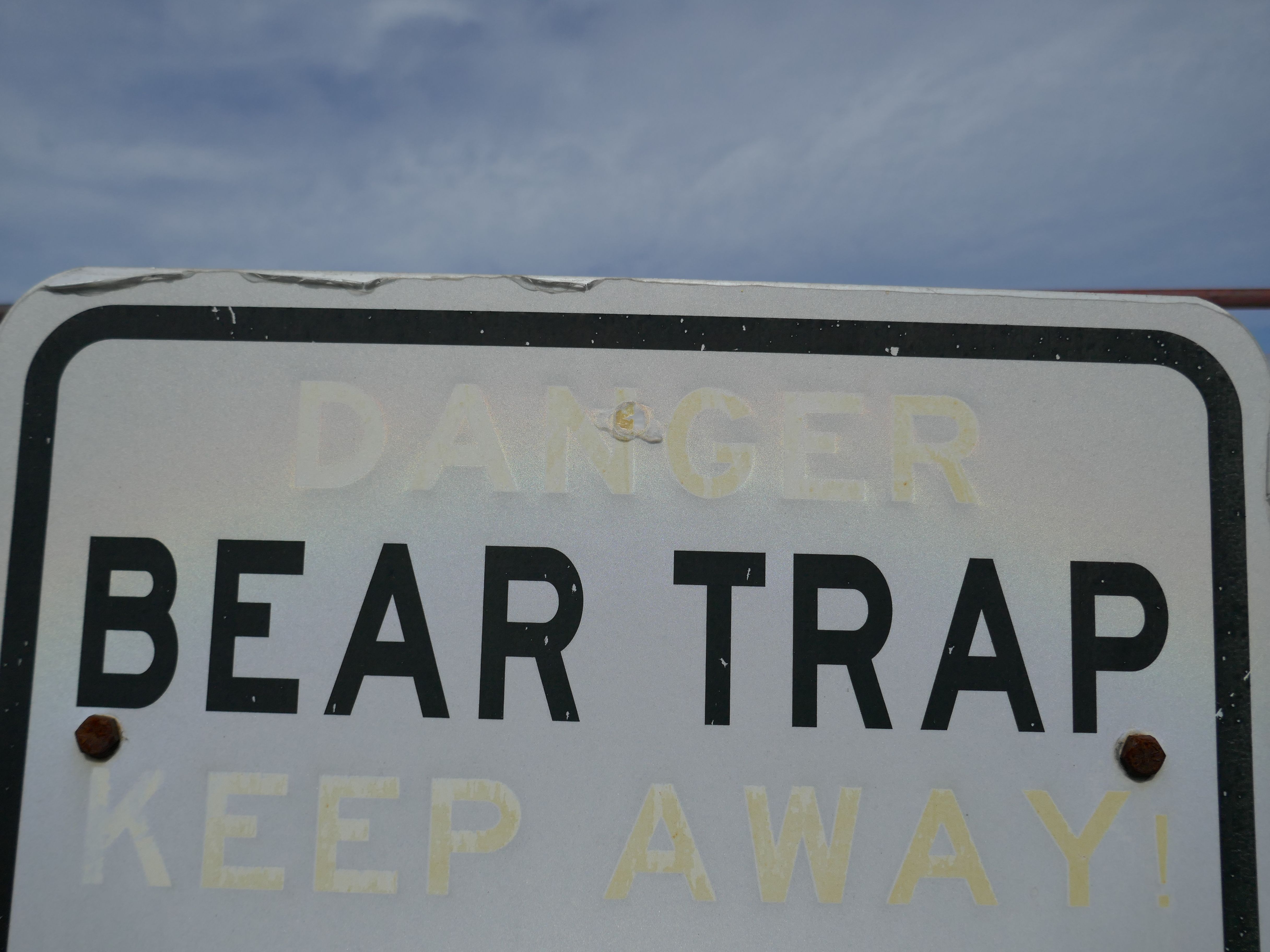 humane wildlife control