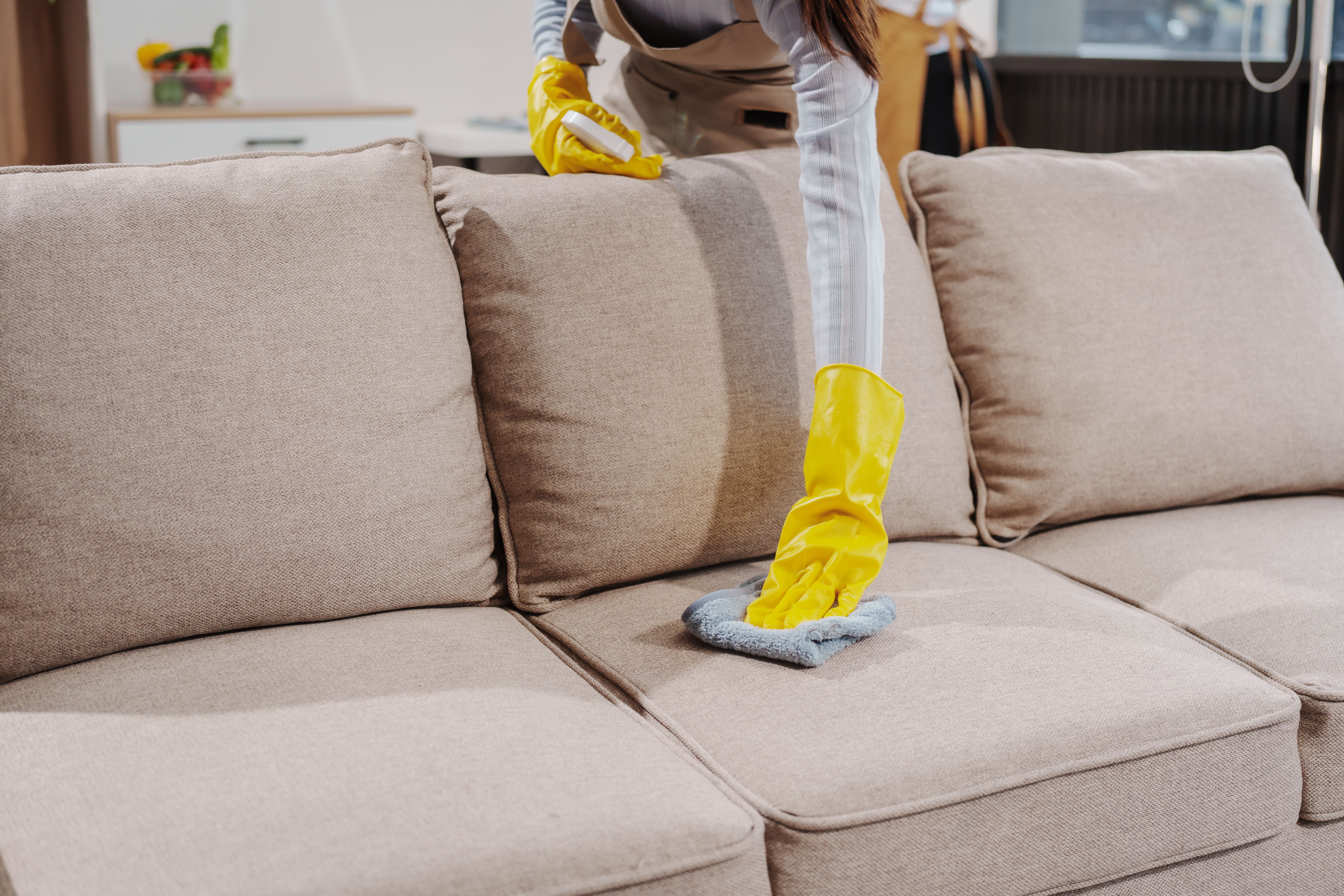 cleaning sofa