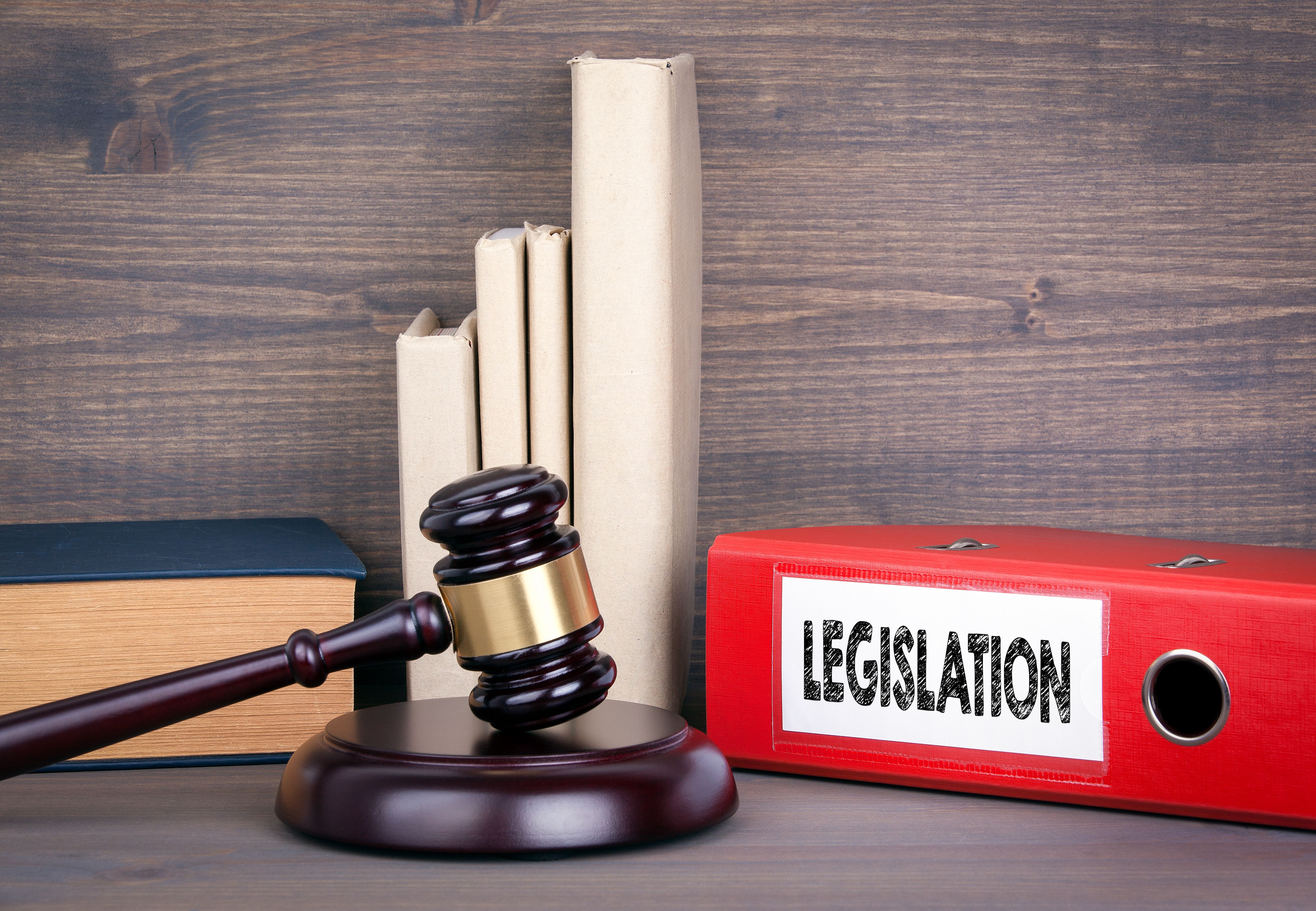 legislative process