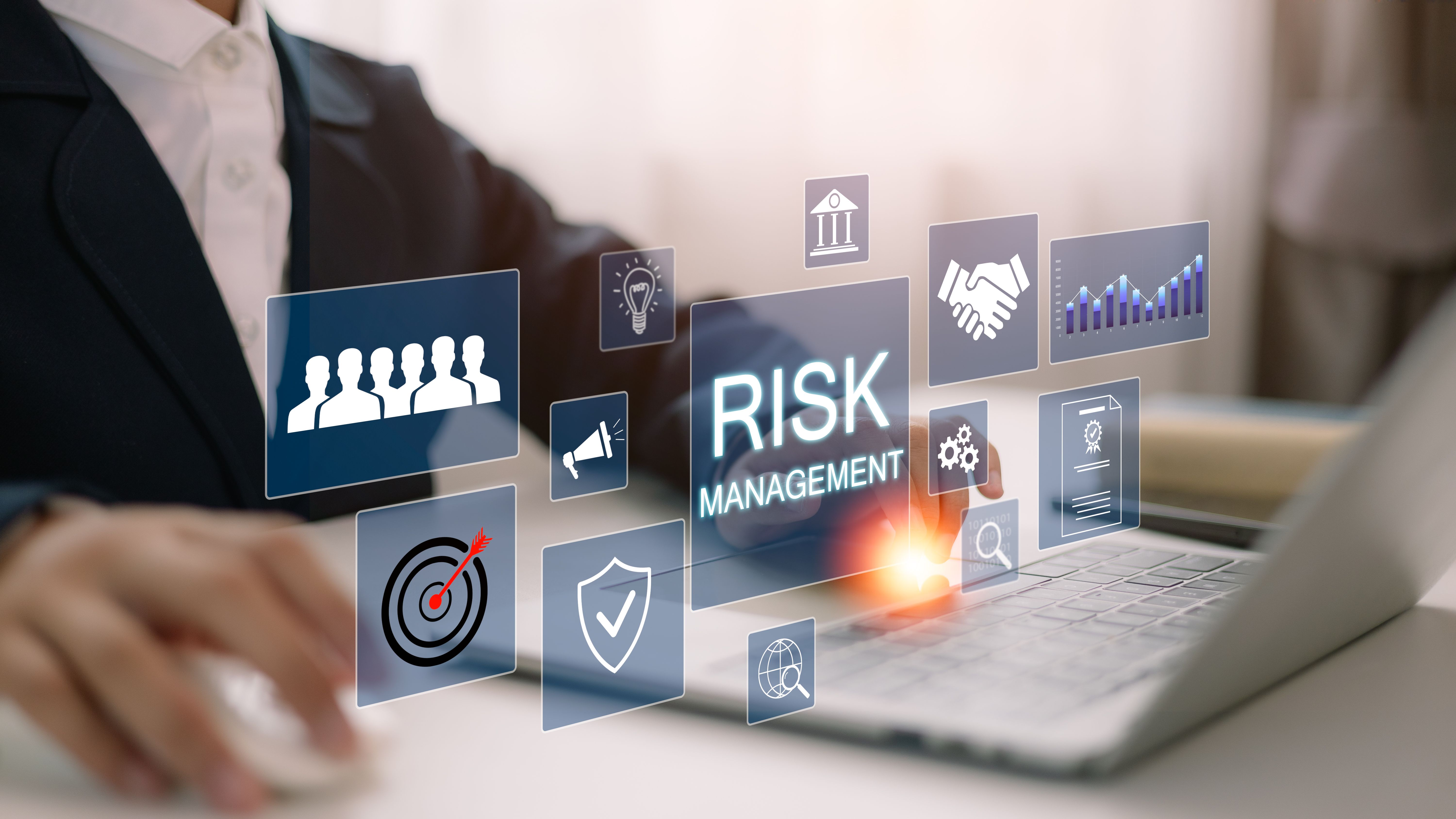 business risk management