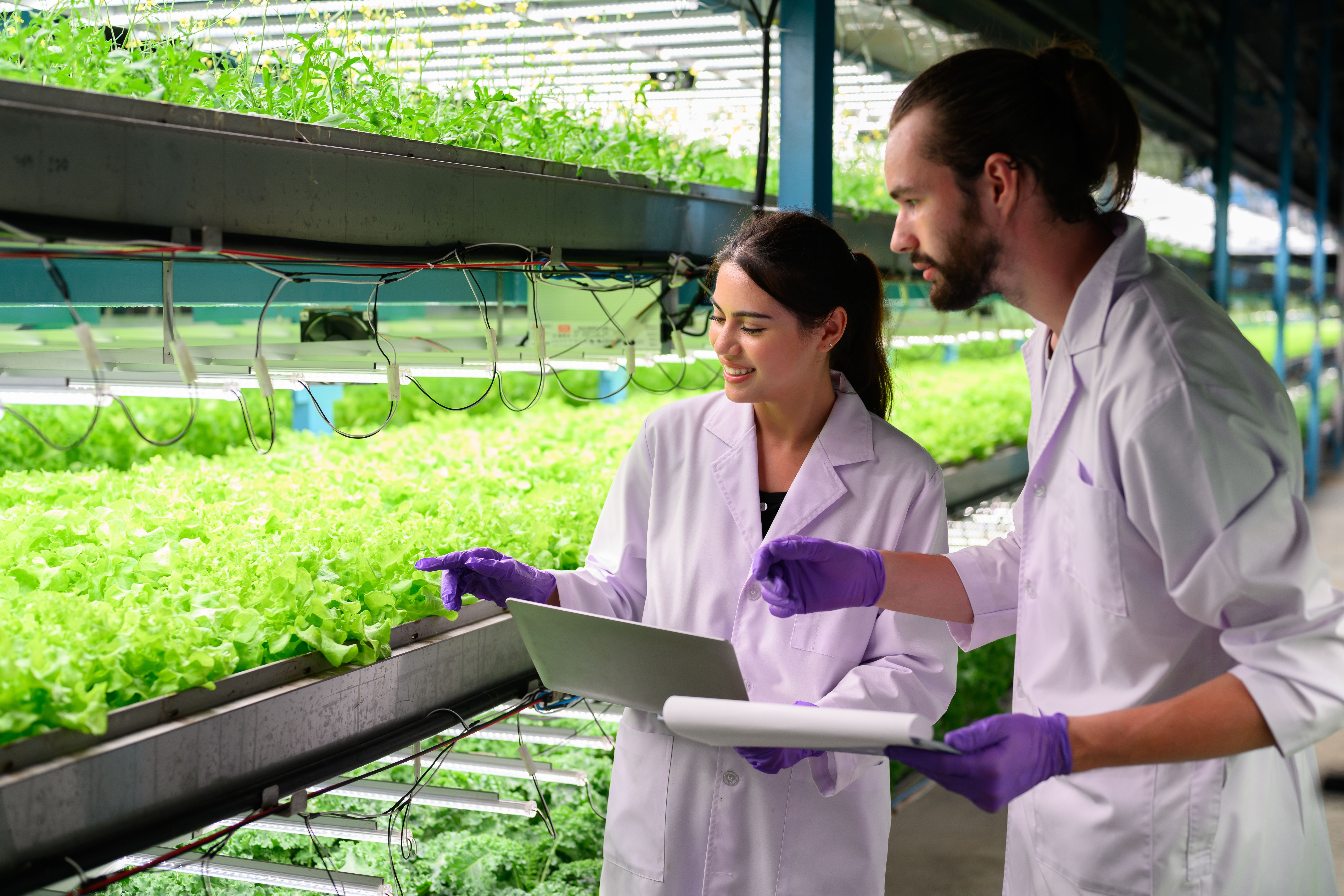 pesticide-free farming